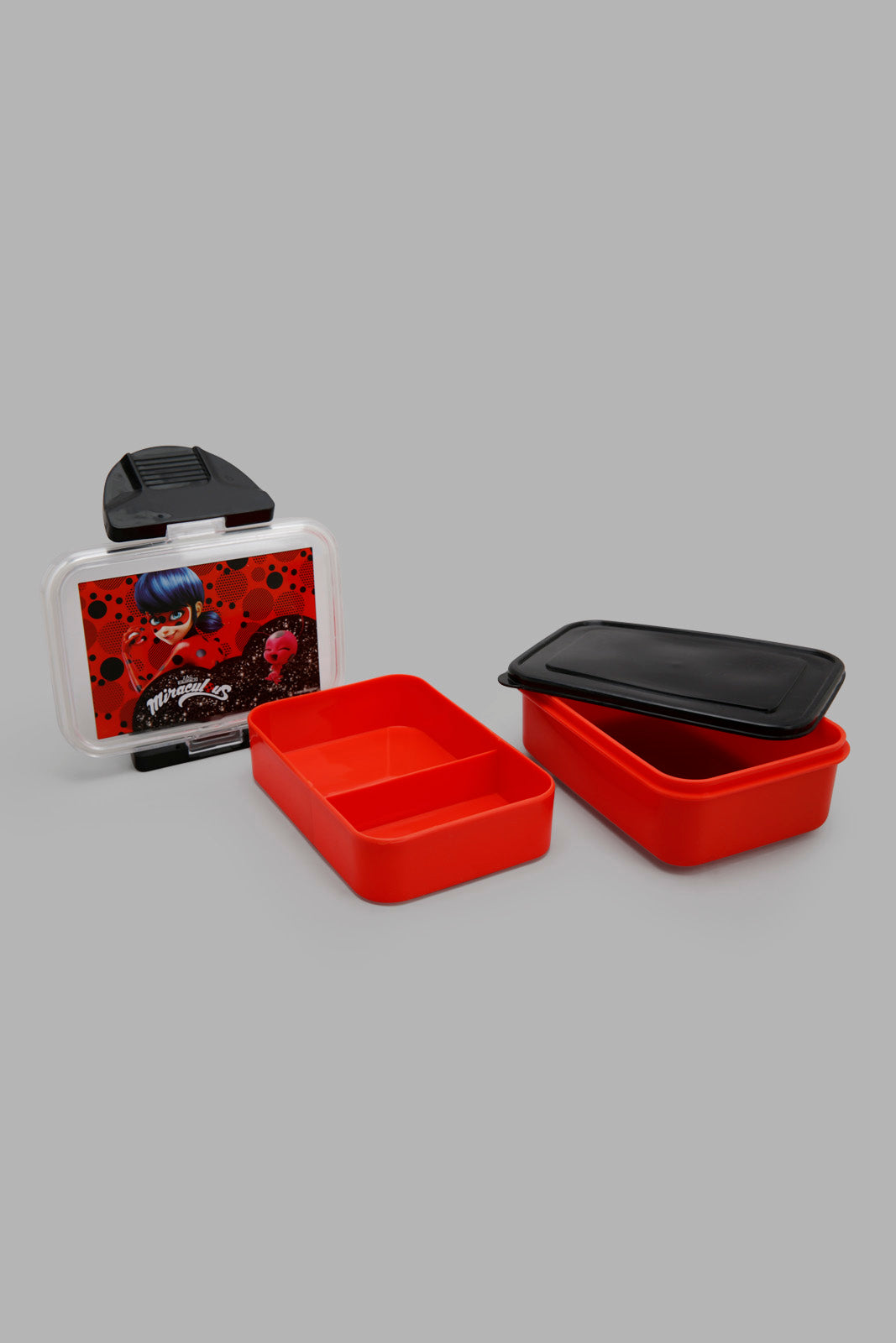 Red Lady Bug Square Lunch Box