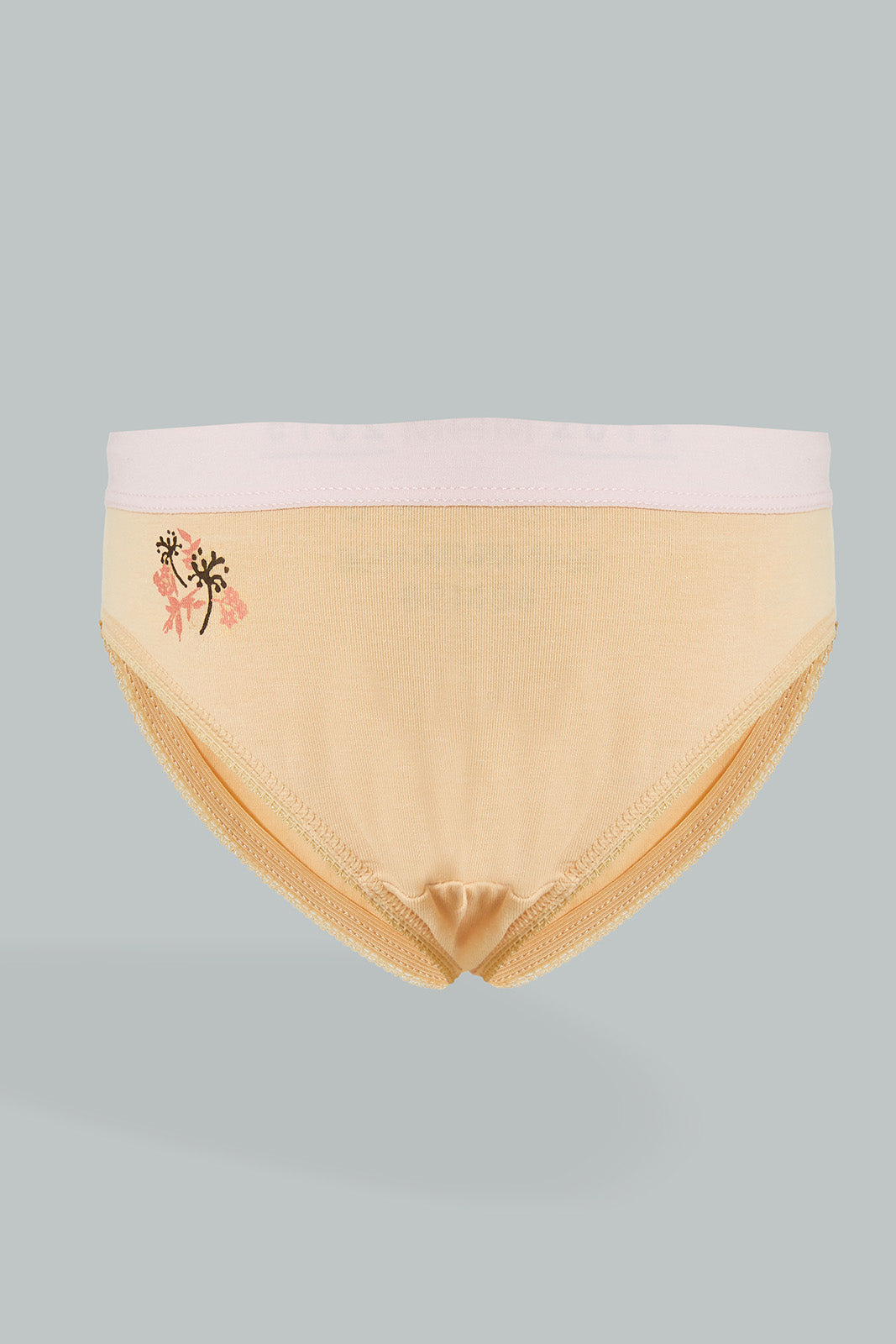 Assorted Bikini Brief (Pack of 2)