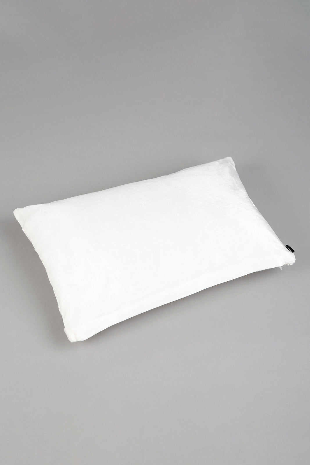 Ivory/Gold Embellished Premium Cushion