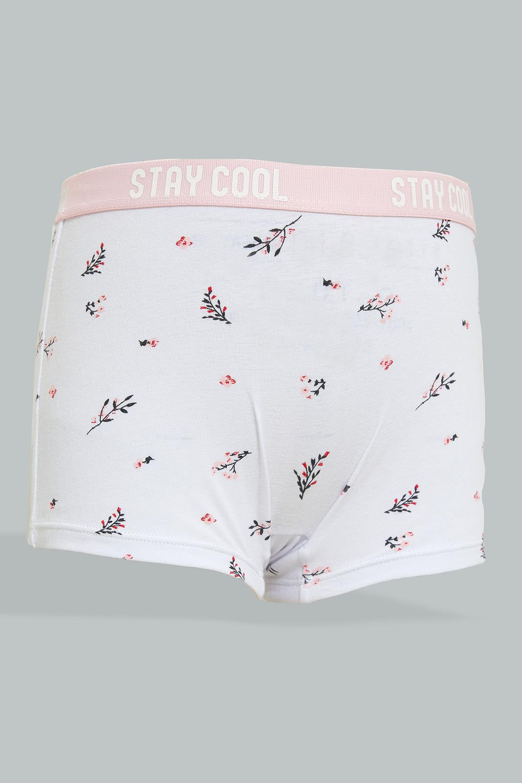 Redtag-Lt-Pink-X-Floral-Print-Brief-(2Pack)-365,-Colour:Assorted,-Filter:Senior-Girls-(9-to-14-Yrs),-GSR-Briefs,-New-In,-New-In-GSR,-Non-Sale,-Section:Kidswear-Senior-Girls-9 to 14 Years