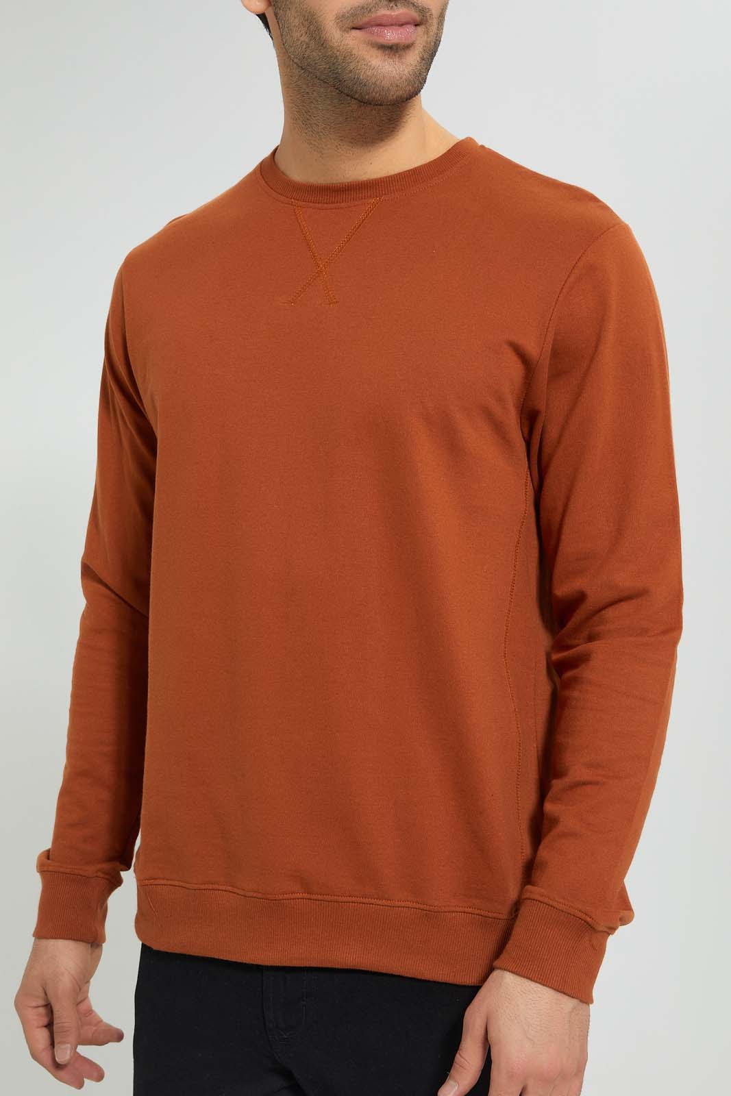 Redtag-Rust-Crew-Neck-Sweatshirt-Sweatshirts-Men's-