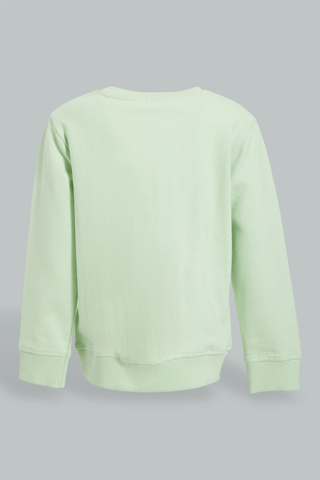 Redtag-Mint-Placement-Print-SweaT-Shirts-Sweatshirts-Infant-Boys-3 to 24 Months