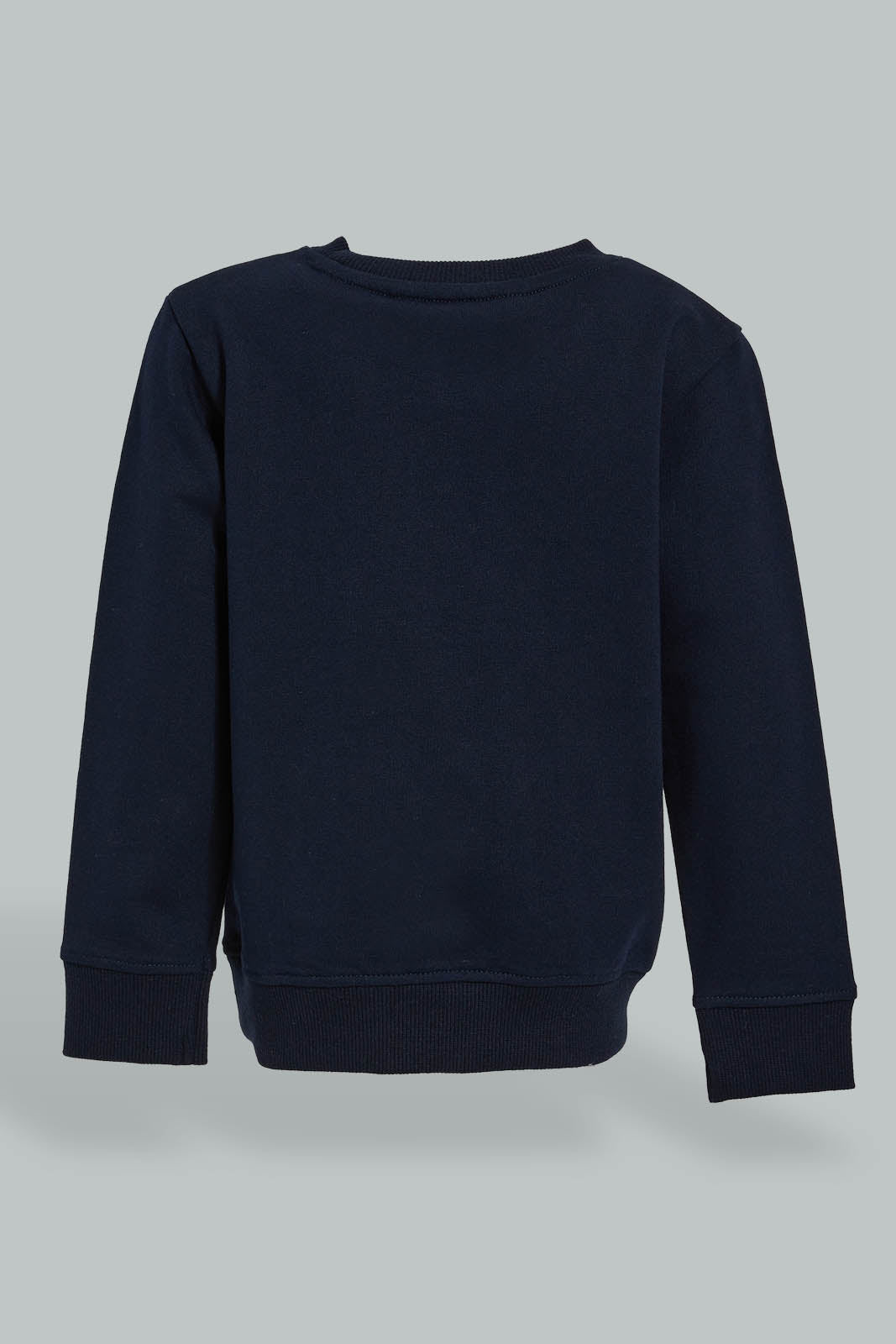 Redtag-Sky-Blue-Placement-Print-SweaT-Shirts-Sweatshirts-Infant-Boys-3 to 24 Months