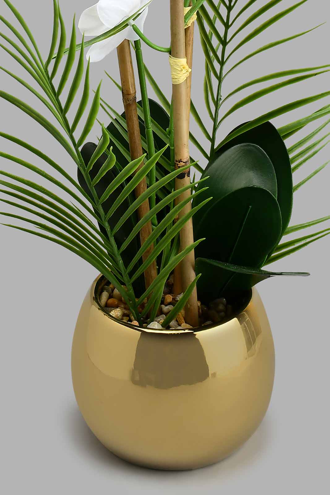 Redtag-White-Artificial-Orchids-In-Ceramic-Vase-Artificial-Plants-Home-Decor-