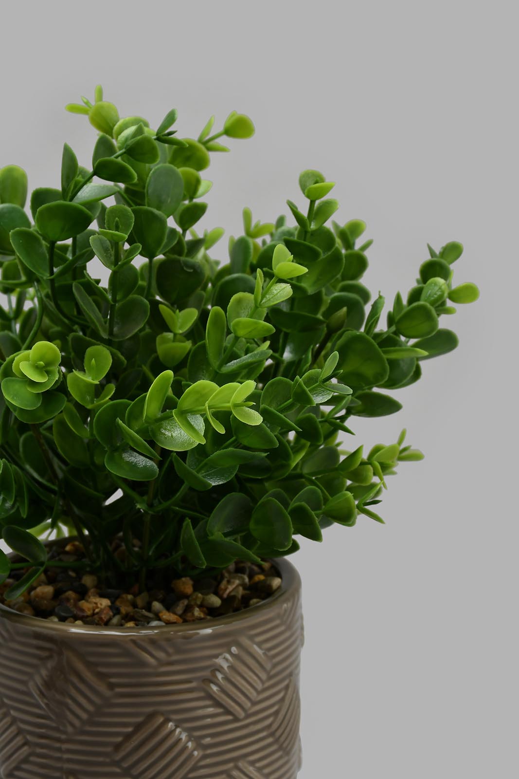 Redtag-Brown-Artificial-Plant-in-Ceramic-Pot-with-Stand-Artificial-Plants-Home-Decor-