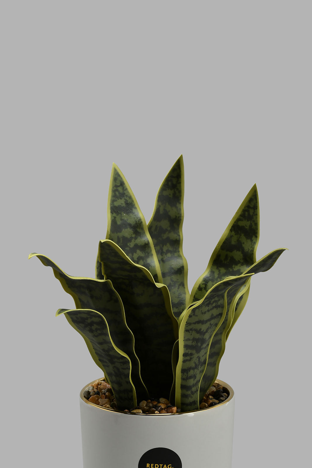Redtag-Gold-Artificial-Plant-in-Ceramic-Pot-Artificial-Plants-Home-Decor-