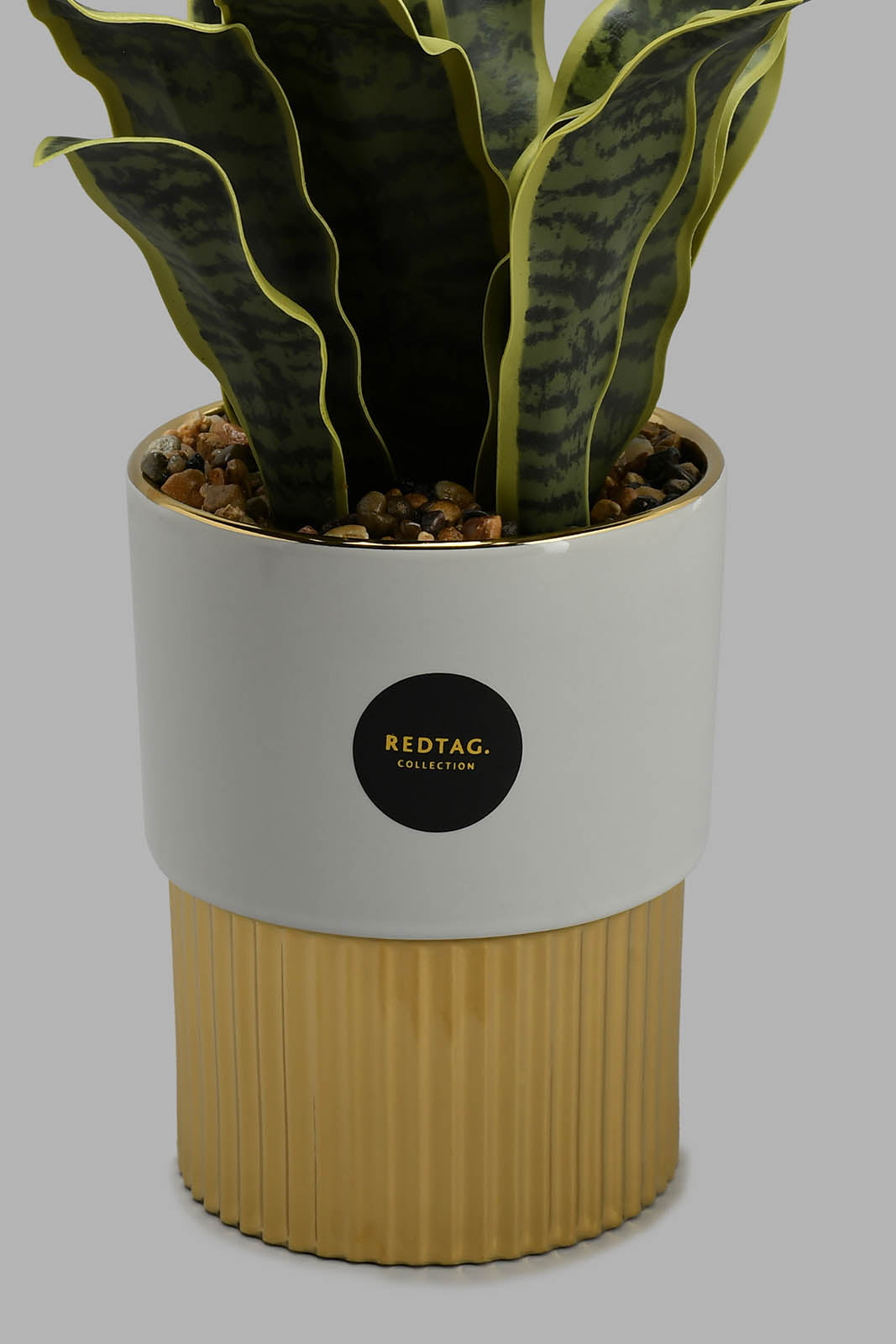 Redtag-Gold-Artificial-Plant-in-Ceramic-Pot-Artificial-Plants-Home-Decor-