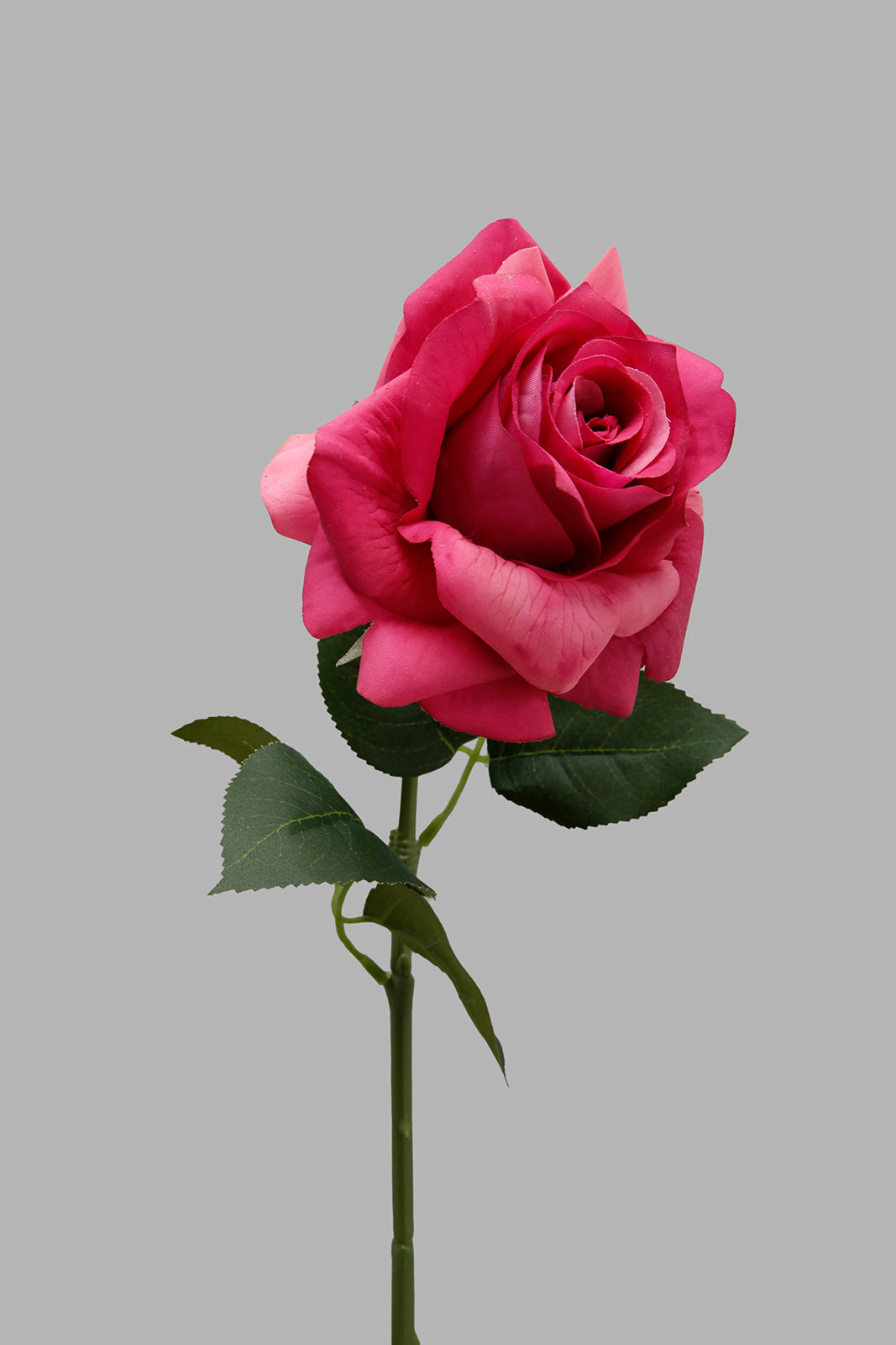 Redtag-Pink-Artificial-Single-Rose-Stick-Category:Plants-&-Flowers,-Colour:Pink,-Filter:Home-Decor,-HMW-HOM-Dea-Decorative-Accessories,-Non-Sale,-S22B,-Section:Homewares-Home-Decor-