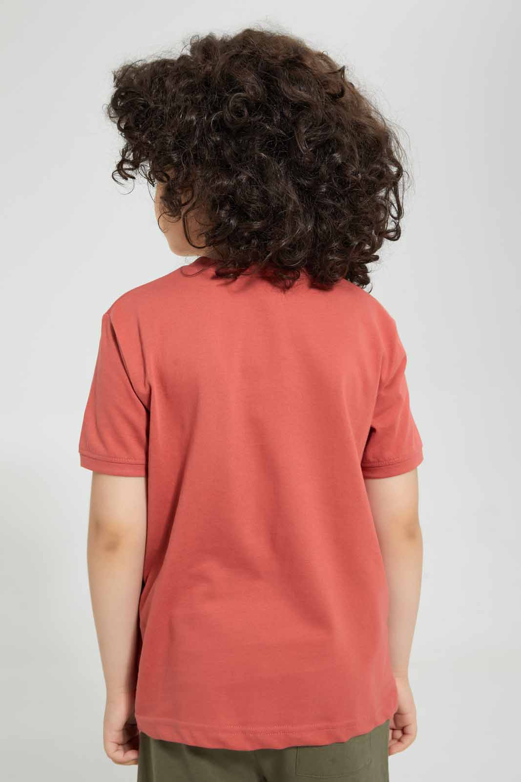 Redtag-Brown-Flap-Hippo-Print-T-Shirt-Graphic-T-Shirts-Boys-2 to 8 Years