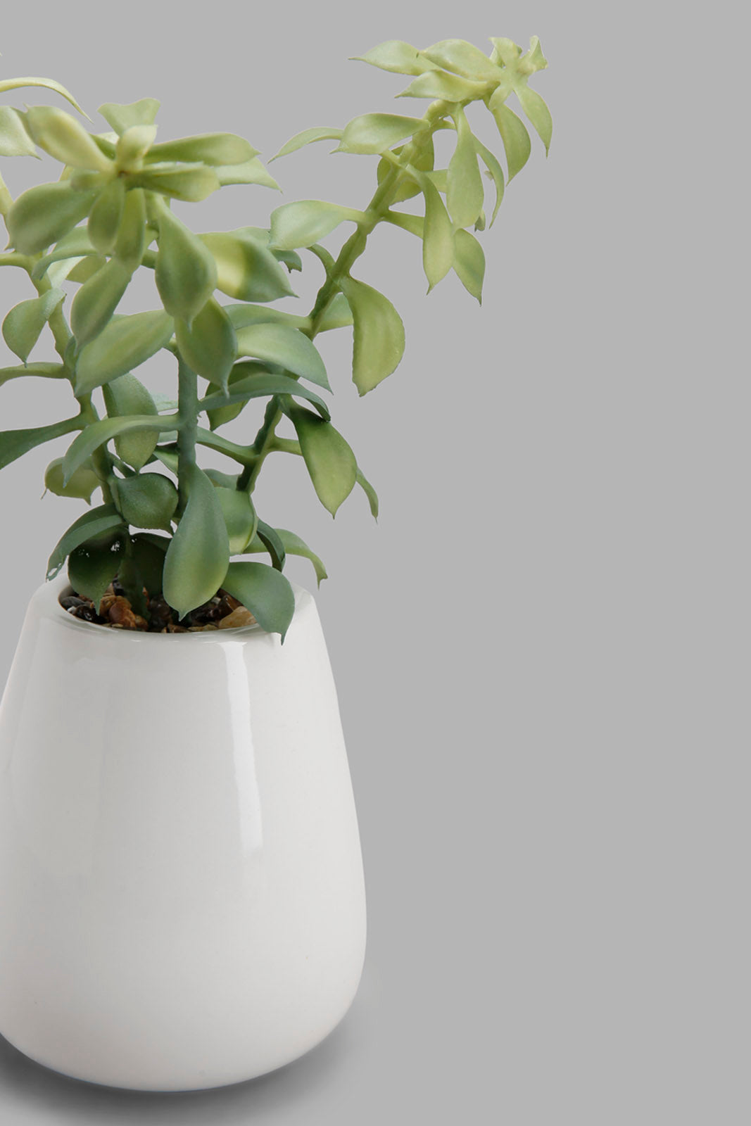 Redtag-Green-Artificial-Plant-In-White-Ceramic-Pot-Category:Plants-&-Flowers,-Colour:Green,-Deals:New-In,-Filter:Home-Decor,-HMW-HOM-Decorative-Accessories,-New-In-HMW-HOM,-Non-Sale,-Section:Homewares,-W22B-Home-Decor-