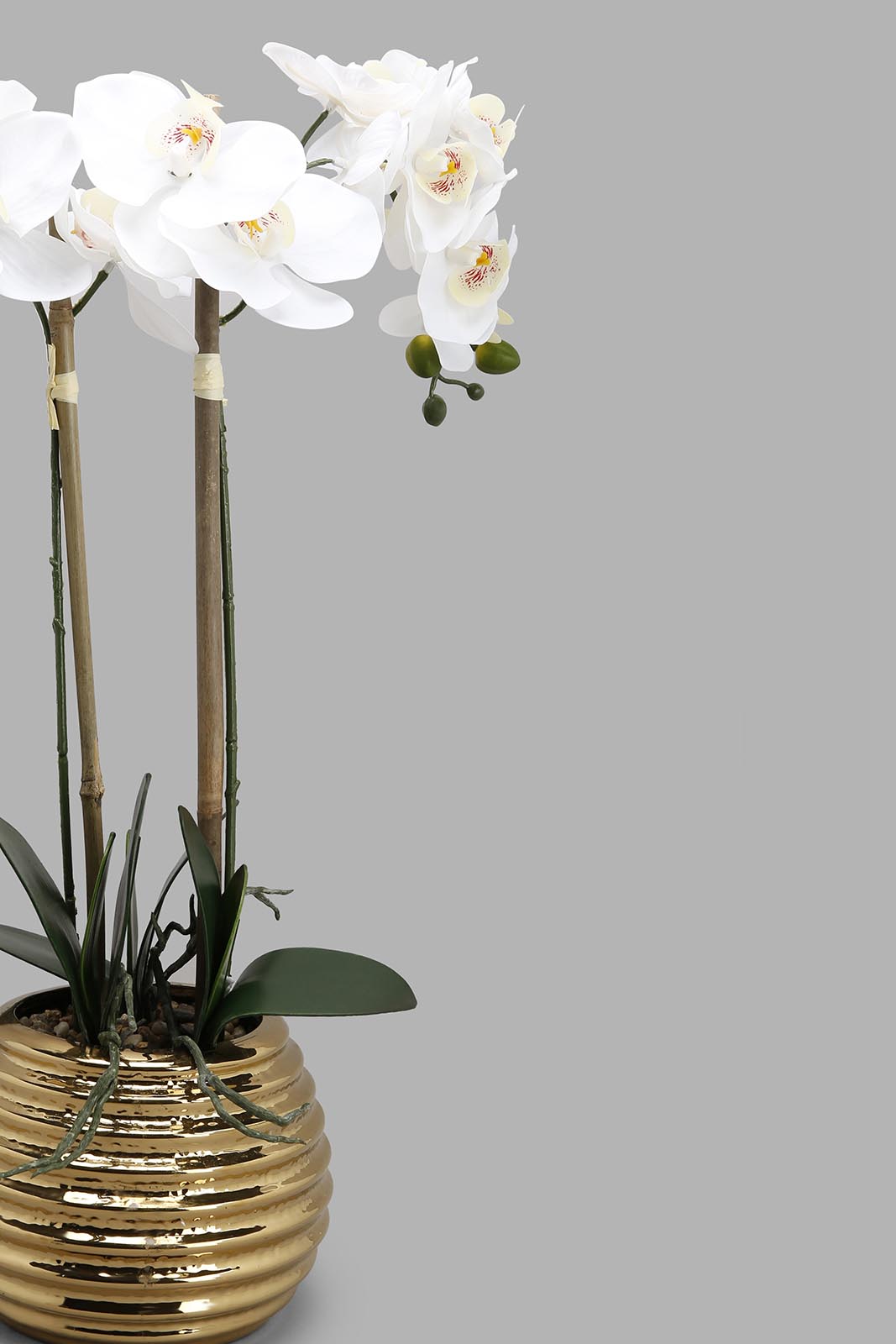 Redtag-Gold-Artificial-Orchid-In-Ceramic-Gold-Vase-Category:Plants-&-Flowers,-Colour:Gold,-Deals:New-In,-Filter:Home-Decor,-HMW-HOM-Decorative-Accessories,-New-In-HMW-HOM,-Non-Sale,-Section:Homewares,-W22A-Home-Decor-