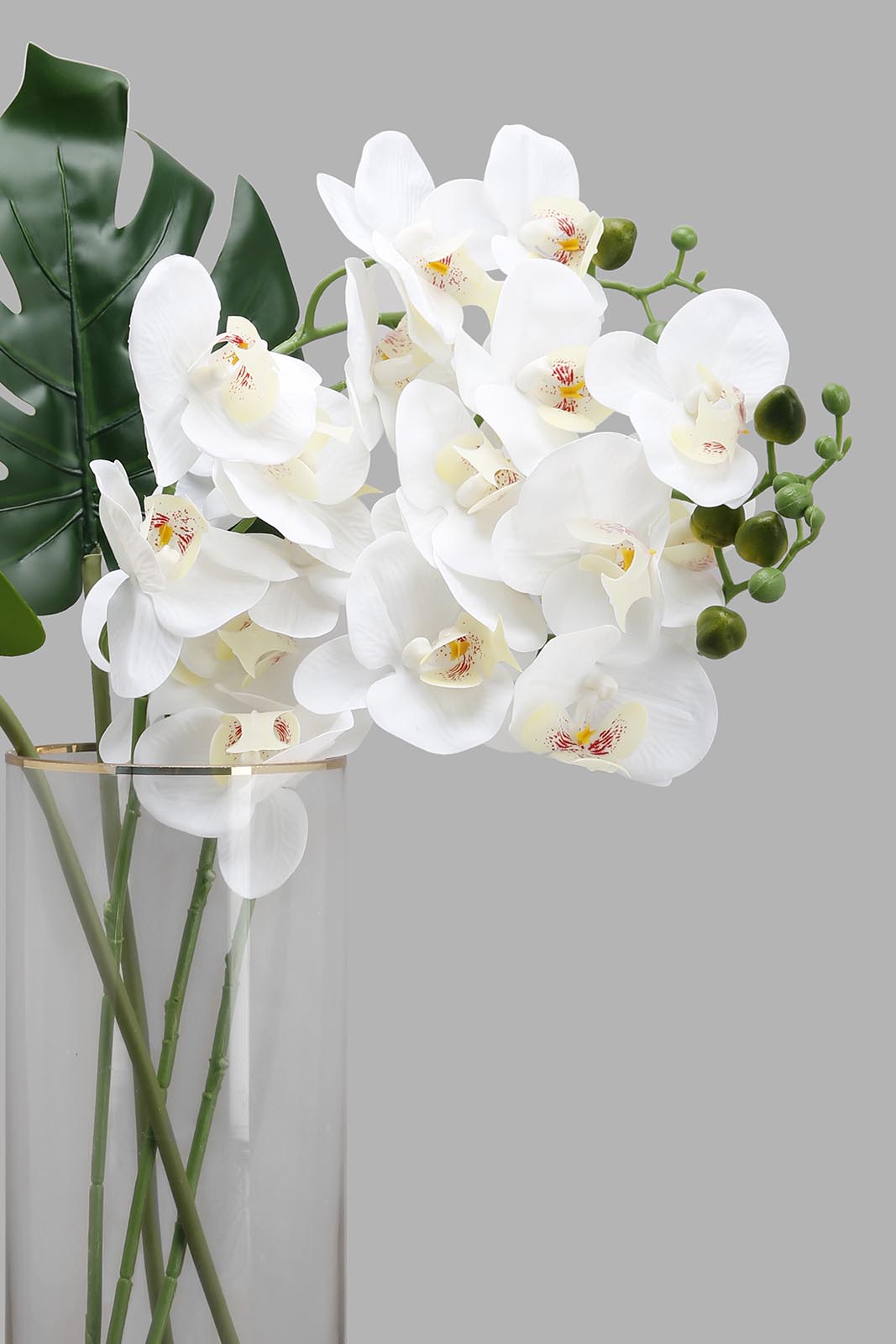 Redtag-Multi-Artificial-Orchid-In-Ceramic-Glass-Vase-Category:Plants-&-Flowers,-Colour:Multicolour,-Deals:New-In,-Filter:Home-Decor,-HMW-HOM-Decorative-Accessories,-New-In-HMW-HOM,-Non-Sale,-Section:Homewares,-W22A-Home-Decor-