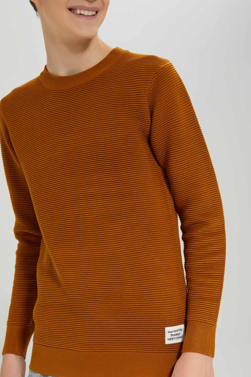 Redtag-Mustard-Jacquard-Pullover-BSR-Pullovers,-Category:Pullovers,-Colour:Mustard,-Deals:New-In,-Dept:Boys,-Filter:Senior-Boys-(8-to-14-Yrs),-New-In-BSR-APL,-Non-Sale,-Section:Boys-(0-to-14Yrs),-W22B-Senior-Boys-9 to 14 Years