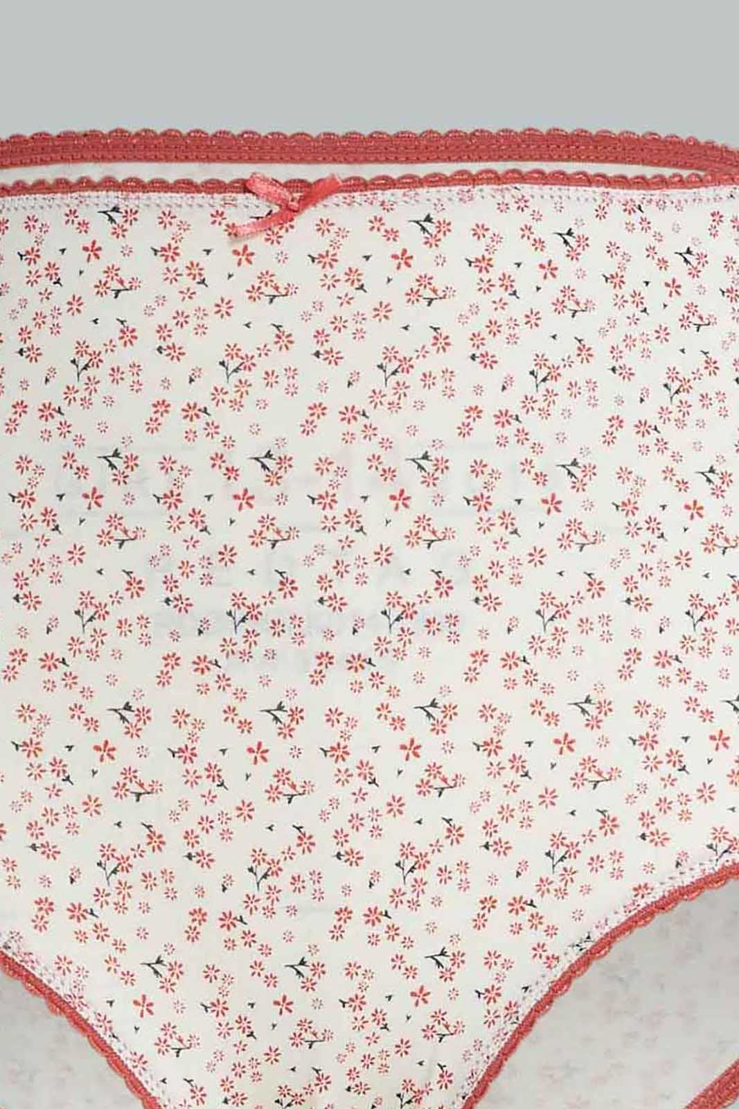 Redtag-Assorted-Print/Plain-Mama-Briefs-(5-Pack)-365,-Category:Briefs,-Colour:Assorted,-Deals:New-In,-Dept:Ladieswear,-Filter:Women's-Clothing,-New-In-Women-APL,-Non-Sale,-Section:Women,-Women-Briefs--