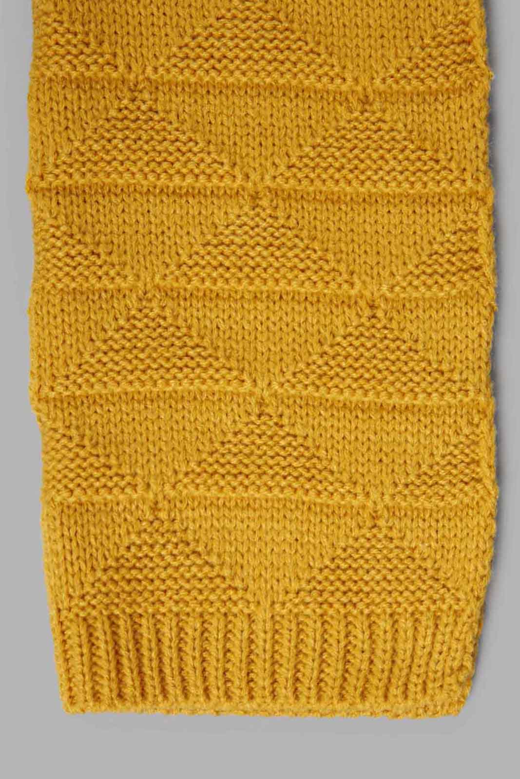 Redtag-Mustard-Embellished-Knitted-Scarfs-Category:Scarves,-Colour:Mustard,-Filter:Women's-Accessories,-New-In,-New-In-Women-ACC,-Non-Sale,-Section:Women,-W22B,-Women-Scarves-Women-