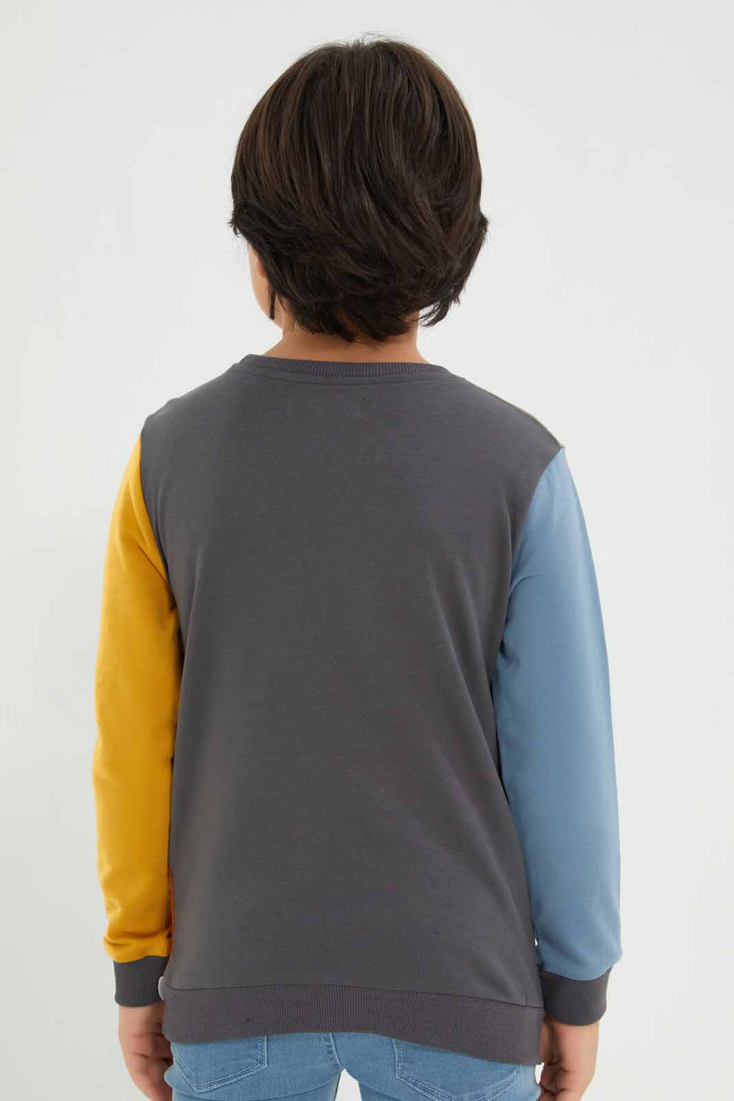 Redtag-Olive-Monster-Paneled-Sweatshirt-BOY-Sweatshirts,-Category:Sweatshirts,-Colour:Green,-Deals:New-In,-Filter:Boys-(2-to-8-Yrs),-New-In-BOY-APL,-Non-Sale,-Section:Boys-(0-to-14Yrs),-W22B-Boys-2 to 8 Years