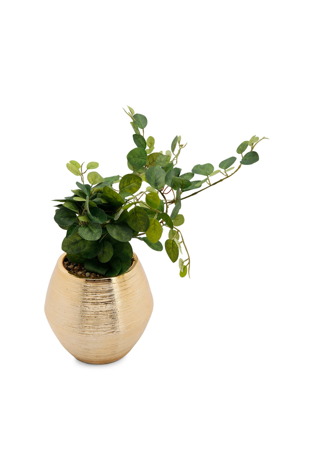 Redtag-Green-Artificial-Table-Plant-In-Gold-Ceramic-Pot-Category:Plants-&-Flowers,-Colour:Green,-Deals:New-In,-Dept:Home,-Filter:Home-Decor,-HMW-HOM-Decorative-Accessories,-New-In-HMW-HOM,-Non-Sale,-Section:Homewares,-W22B-Home-Decor-