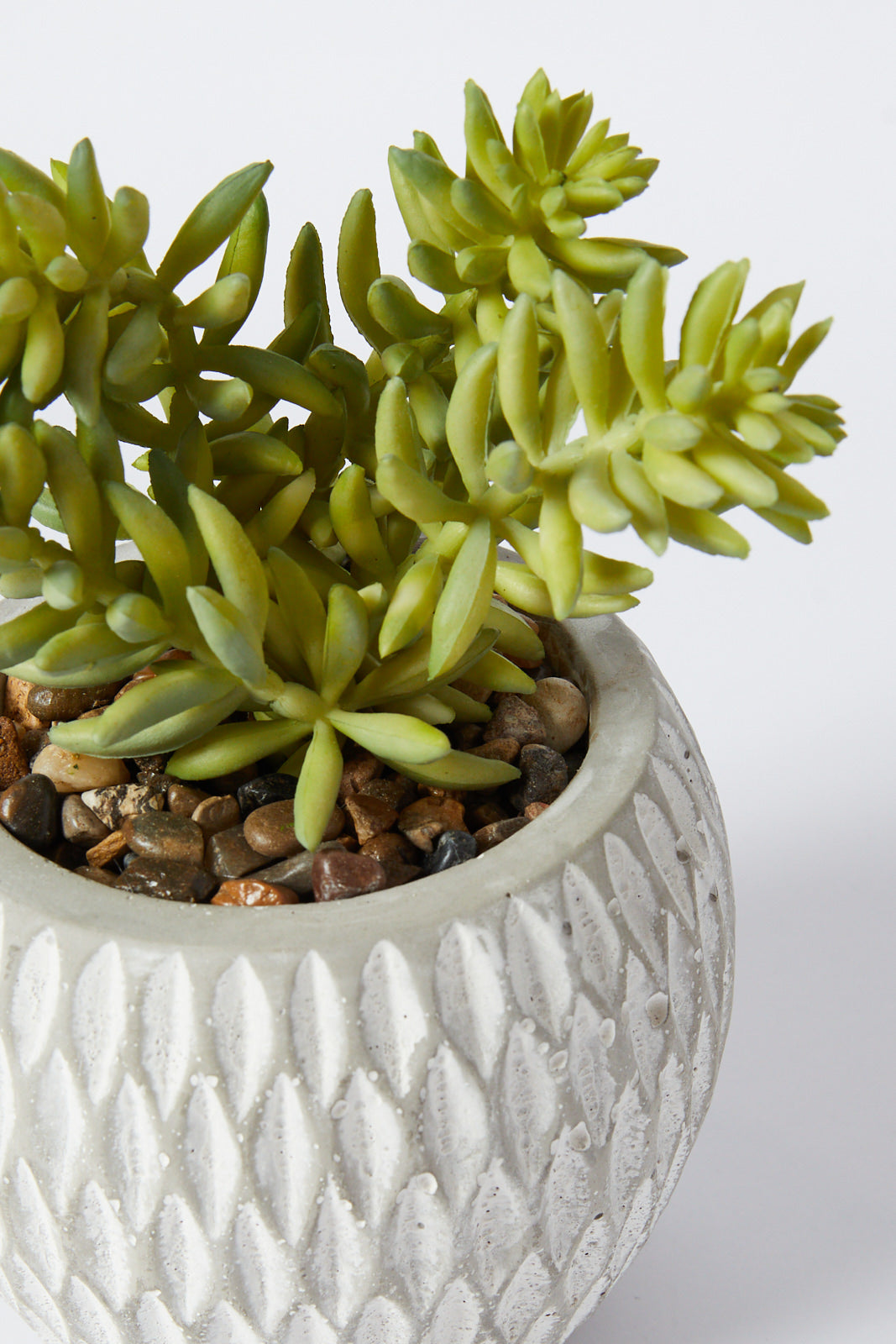Redtag-Green-Artificial-Succulent-Assorted-Custer-In-Ceramic-Pot-Category:Plants-&-Flowers,-Colour:Green,-Deals:New-In,-Filter:Home-Decor,-HMW-HOM-Decorative-Accessories,-New-In-HMW-HOM,-Non-Sale,-S23A,-Section:Homewares-Home-Decor-