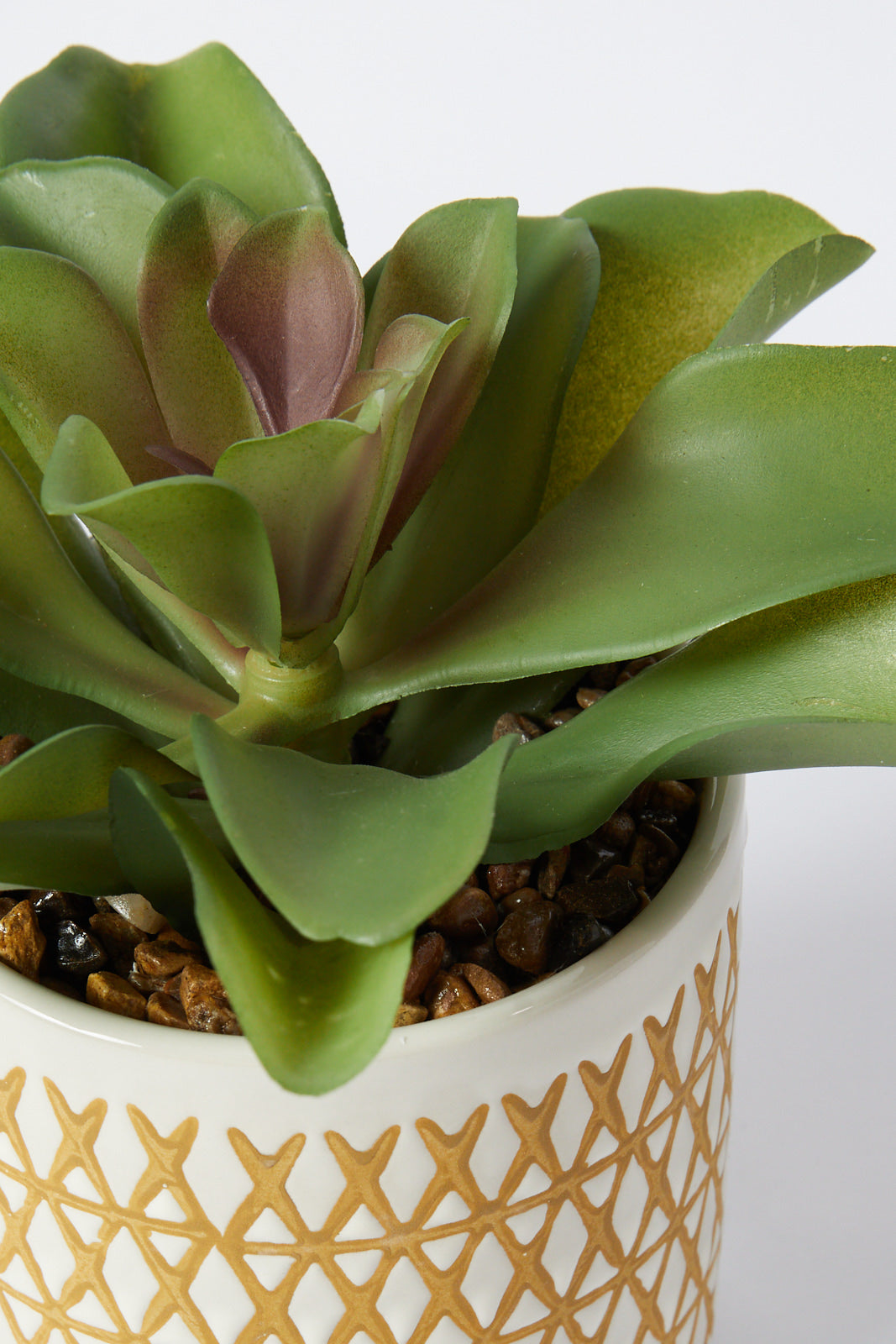 Redtag-Green-Artificial-Succulent-Flat-Leaf-In-Ceramic-Pot-Category:Plants-&-Flowers,-Colour:Green,-Deals:New-In,-Filter:Home-Decor,-HMW-HOM-Decorative-Accessories,-New-In-HMW-HOM,-Non-Sale,-S23A,-Section:Homewares-Home-Decor-