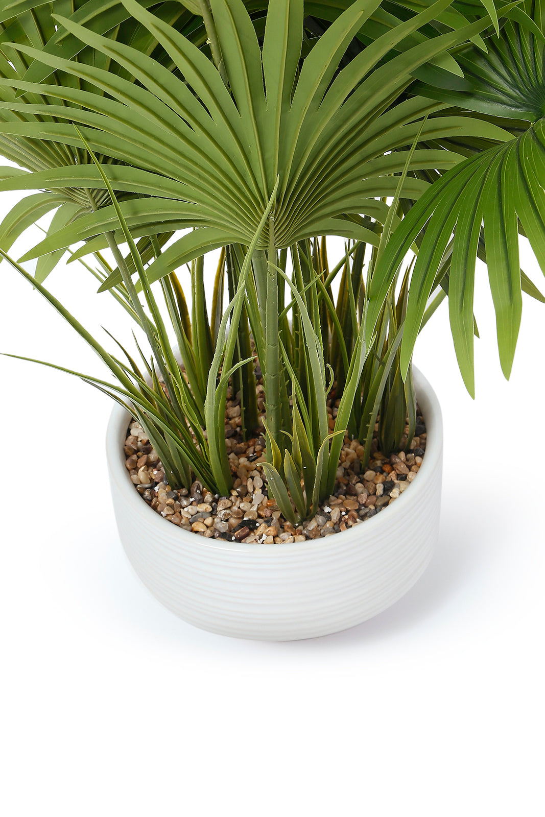 Redtag-Green-Artificial-Plant-With-Ceramic-White-Pot-80Cm-Category:Plants-&-Flowers,-Colour:Green,-Deals:New-In,-Dept:Home,-Filter:Home-Decor,-HMW-HOM-Decorative-Accessories,-New-In-HMW-HOM,-Non-Sale,-S23A,-Section:Homewares-Home-Decor-