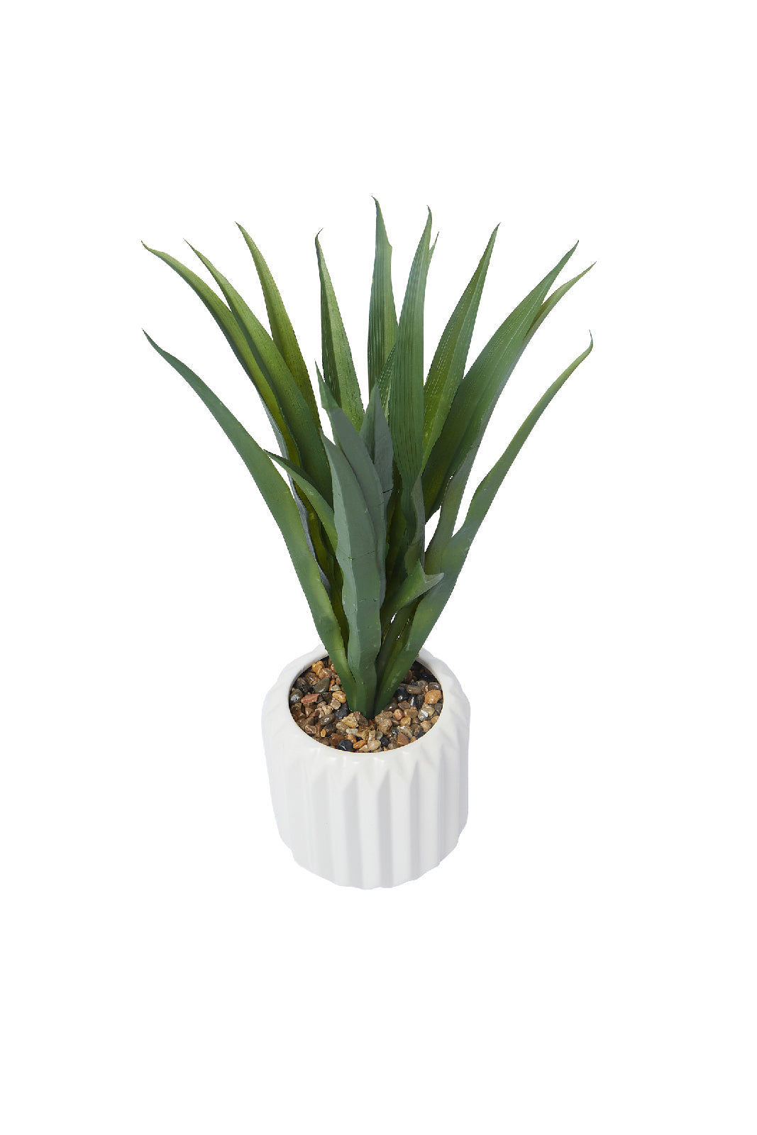 Redtag-Green-Artificial-Table-Plant-In-Embossed-Ceramic-Pot-Category:Plants-&-Flowers,-Colour:Green,-Deals:New-In,-Dept:Home,-Filter:Home-Decor,-HMW-HOM-Decorative-Accessories,-New-In-HMW-HOM,-Non-Sale,-S23A,-Section:Homewares-Home-Decor-