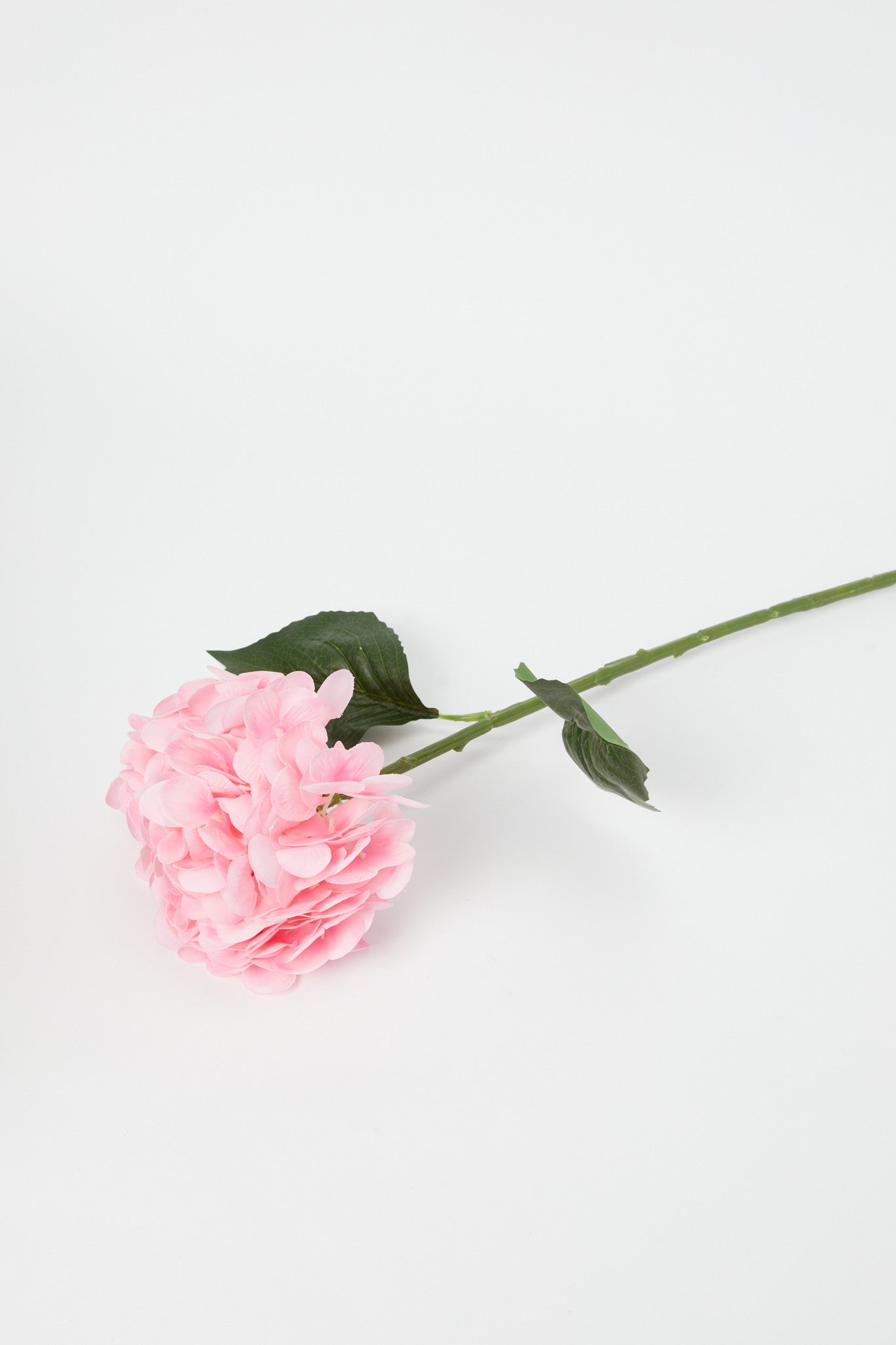 Redtag-Pink-Artificial-Circular-Hydrangea-Flower-Category:Plants-&-Flowers,-Colour:Pink,-Deals:New-In,-Dept:Home,-Filter:Home-Decor,-H1:HMW,-H2:HOM,-H3:DEA,-H4:DCA,-HMW-HOM-Decorative-Accessories,-New-In-HMW-HOM,-Non-Sale,-Promo:PERIGOLD,-S23A,-Season:S23B,-Section:Homewares,-Style:FLOWER-STICK-Home-Decor-