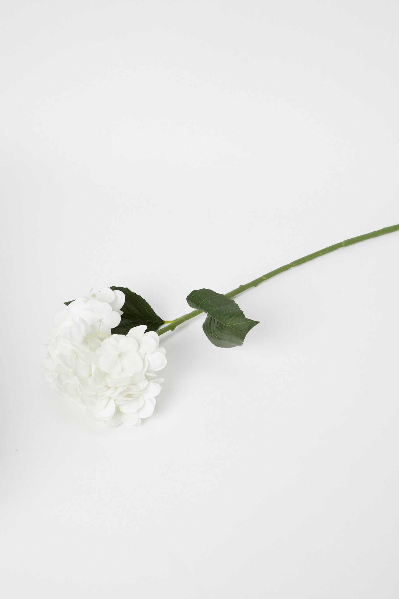 Redtag-White-Artificial-Circular-Hydrangea-Flower-Category:Plants-&-Flowers,-Colour:White,-Deals:New-In,-Dept:Home,-Filter:Home-Decor,-H1:HMW,-H2:HOM,-H3:DEA,-H4:DCA,-HMW-HOM-Decorative-Accessories,-New-In-HMW-HOM,-Non-Sale,-Promo:PERIGOLD,-S23A,-Season:S23B,-Section:Homewares,-Style:FLOWER-STICK-Home-Decor-