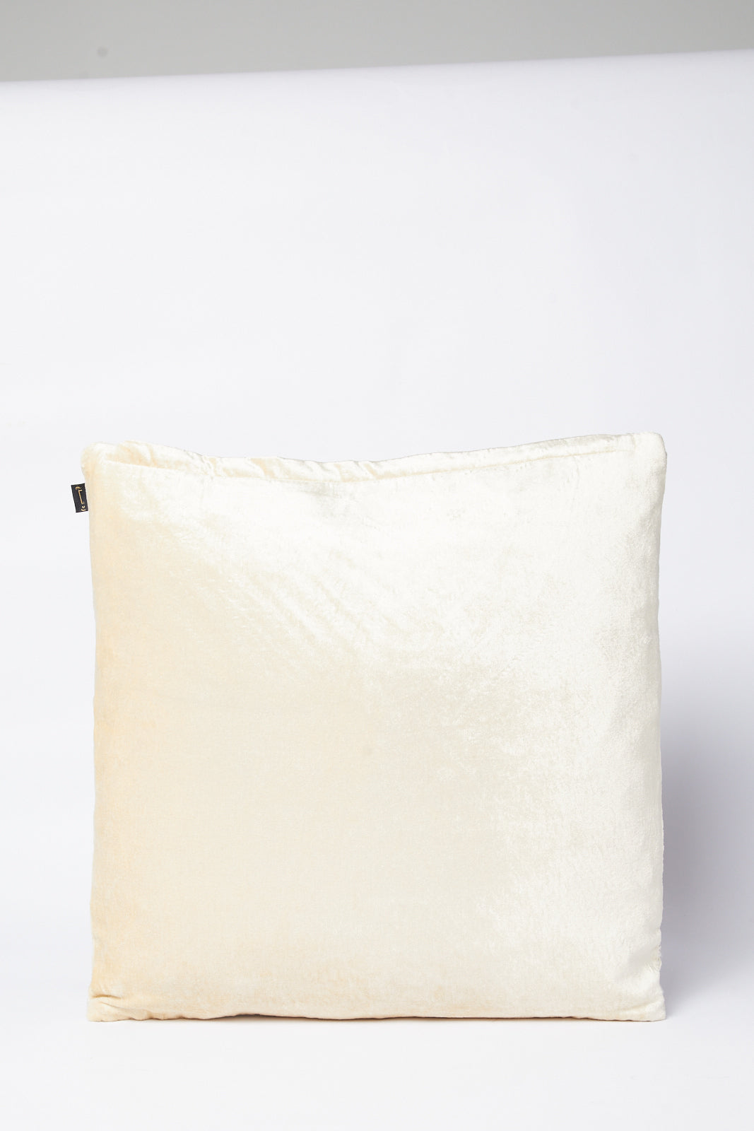 Redtag-Beige-Pearl-Bead-Embroidery-Velvet-Cushion-Category:Cushions,-Colour:Beige,-Deals:New-In,-Filter:Home-Bedroom,-HMW-BED-Cushions,-New-In-HMW-BED,-Non-Sale,-S23B,-Section:Homewares-Home-Bedroom-