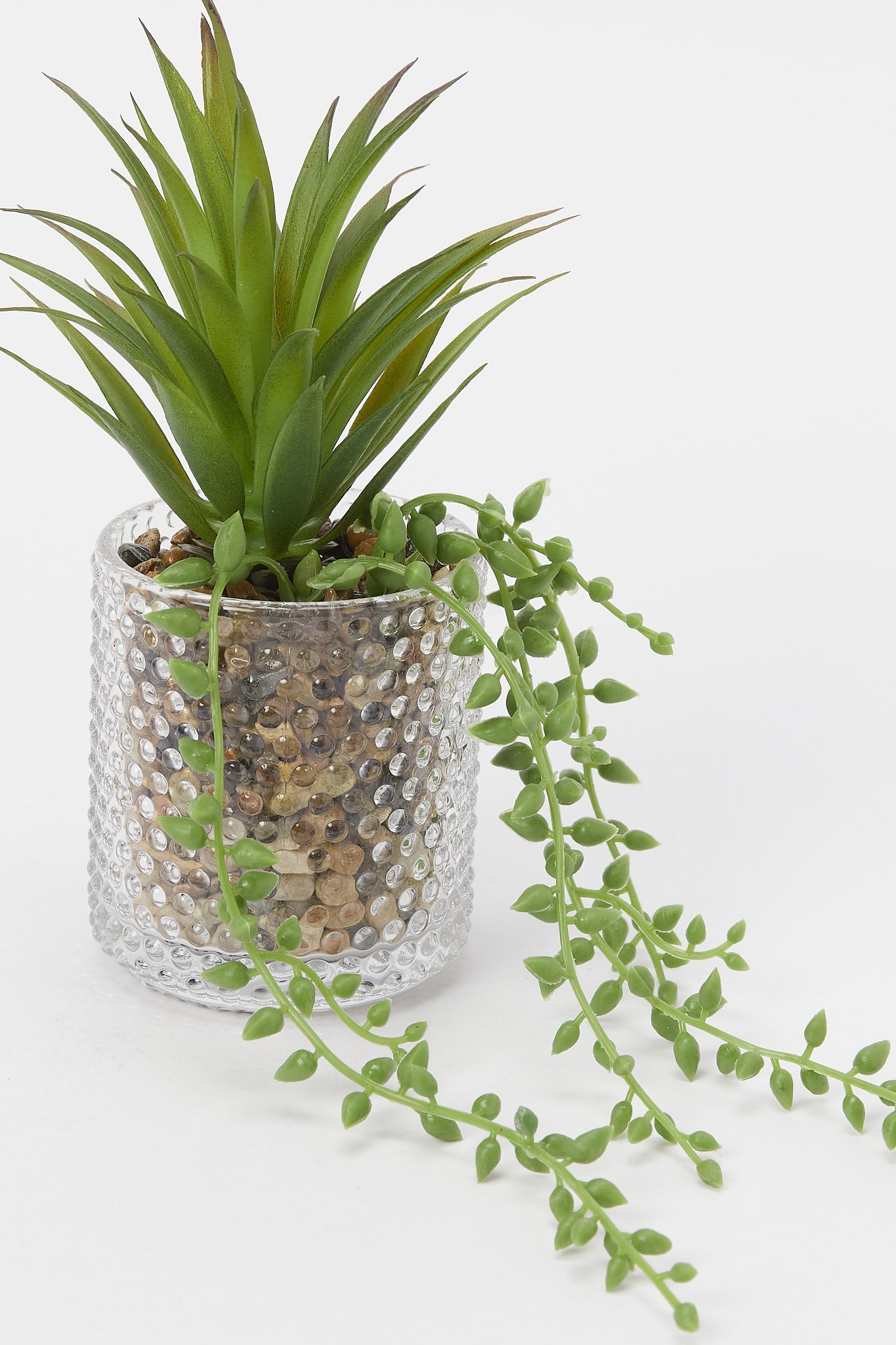 Redtag-Artificial-Creeper-Leaf-In-Texture-Glass-Pot-Category:Plants-&-Flowers,-Colour:Green,-Deals:New-In,-Filter:Home-Decor,-H1:HMW,-H2:HOM,-H3:DEA,-H4:DCA,-HMW-HOM-Decorative-Accessories,-New-In-HMW-HOM,-Non-Sale,-Promo:RIVA,-S23B,-Season:S23B,-Section:Homewares,-Style:ACCENT-FLOWER-Home-Decor-