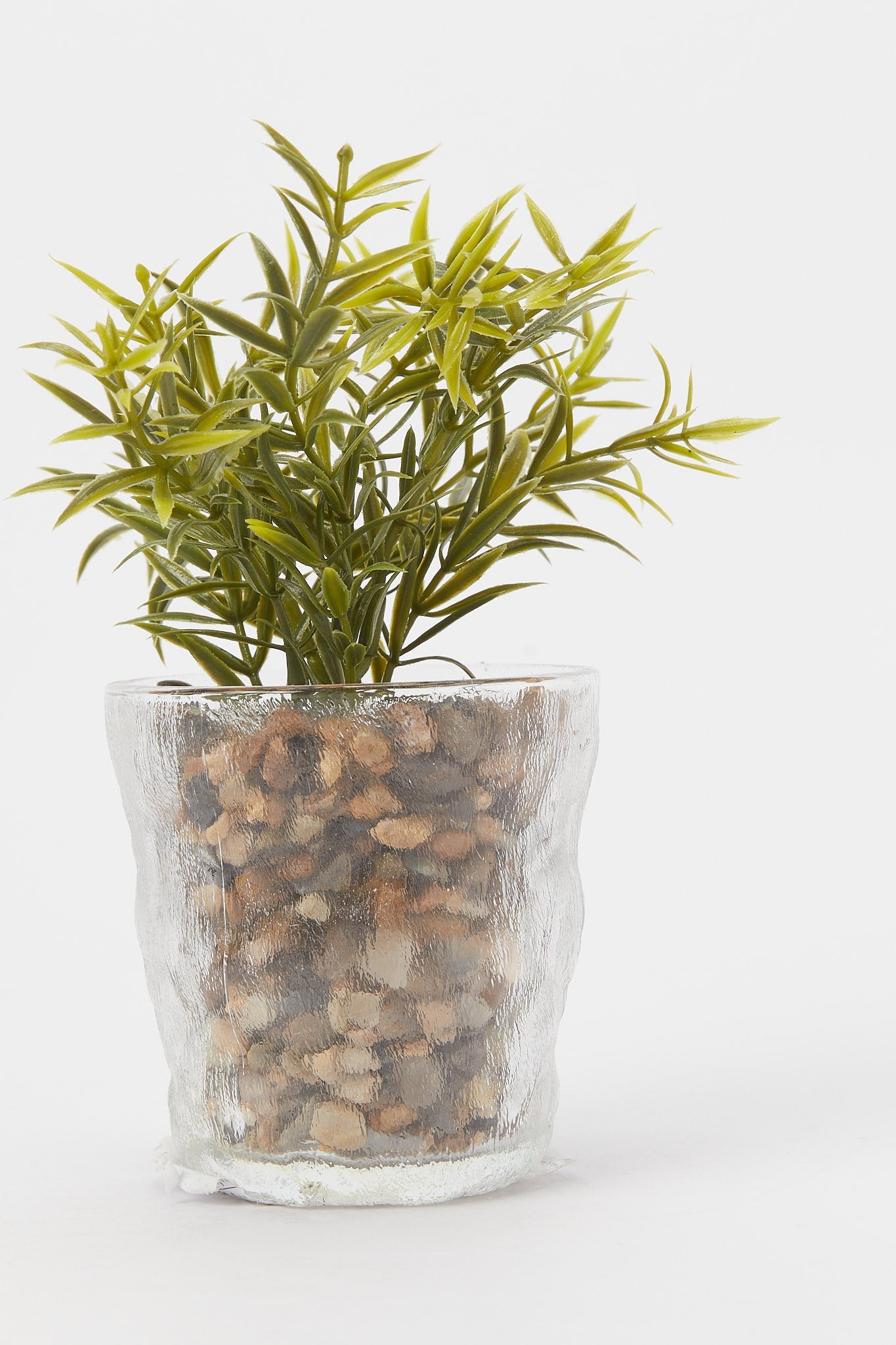 Redtag-Artificial-Decorative-Leaf-In-Colored-Glass-Pot-Category:Plants-&-Flowers,-Colour:Green,-Deals:New-In,-Filter:Home-Decor,-H1:HMW,-H2:HOM,-H3:DEA,-H4:DCA,-HMW-HOM-Decorative-Accessories,-New-In-HMW-HOM,-Non-Sale,-Promo:RIVA,-S23B,-Season:S23B,-Section:Homewares,-Style:ACCENT-FLOWER-Home-Decor-