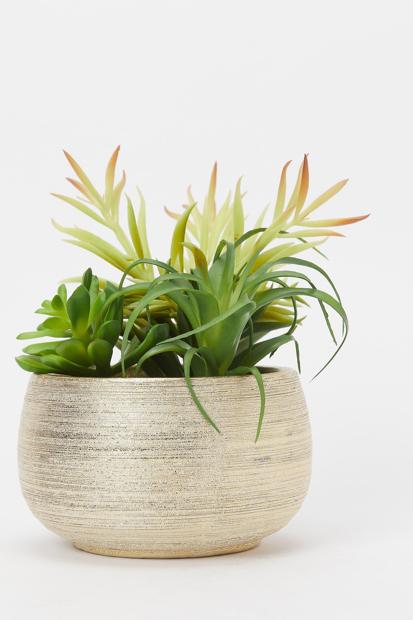 Redtag-Artificial-Cluster-Plant-In-Golden-Texture-Pot-Category:Plants-&-Flowers,-Colour:Green,-Deals:New-In,-Filter:Home-Decor,-H1:HMW,-H2:HOM,-H3:DEA,-H4:DCA,-HMW-HOM-Decorative-Accessories,-New-In-HMW-HOM,-Non-Sale,-Promo:JULIETTE,-S23B,-Season:S23B,-Section:Homewares,-Style:ACCENT-FLOWER-Home-Decor-