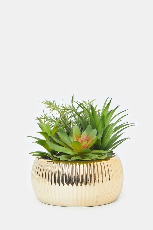 Artificial Suculent Plant With Ceramic Pot