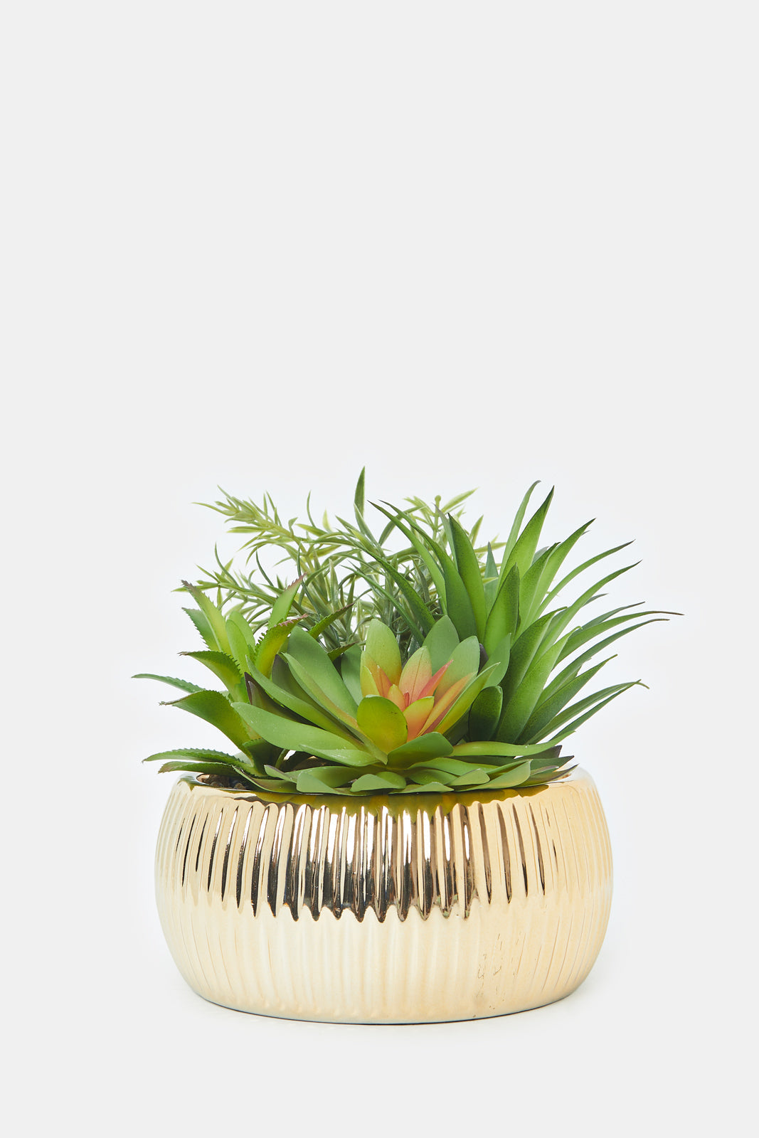Artificial Suculent Plant With Ceramic Pot (Copy)