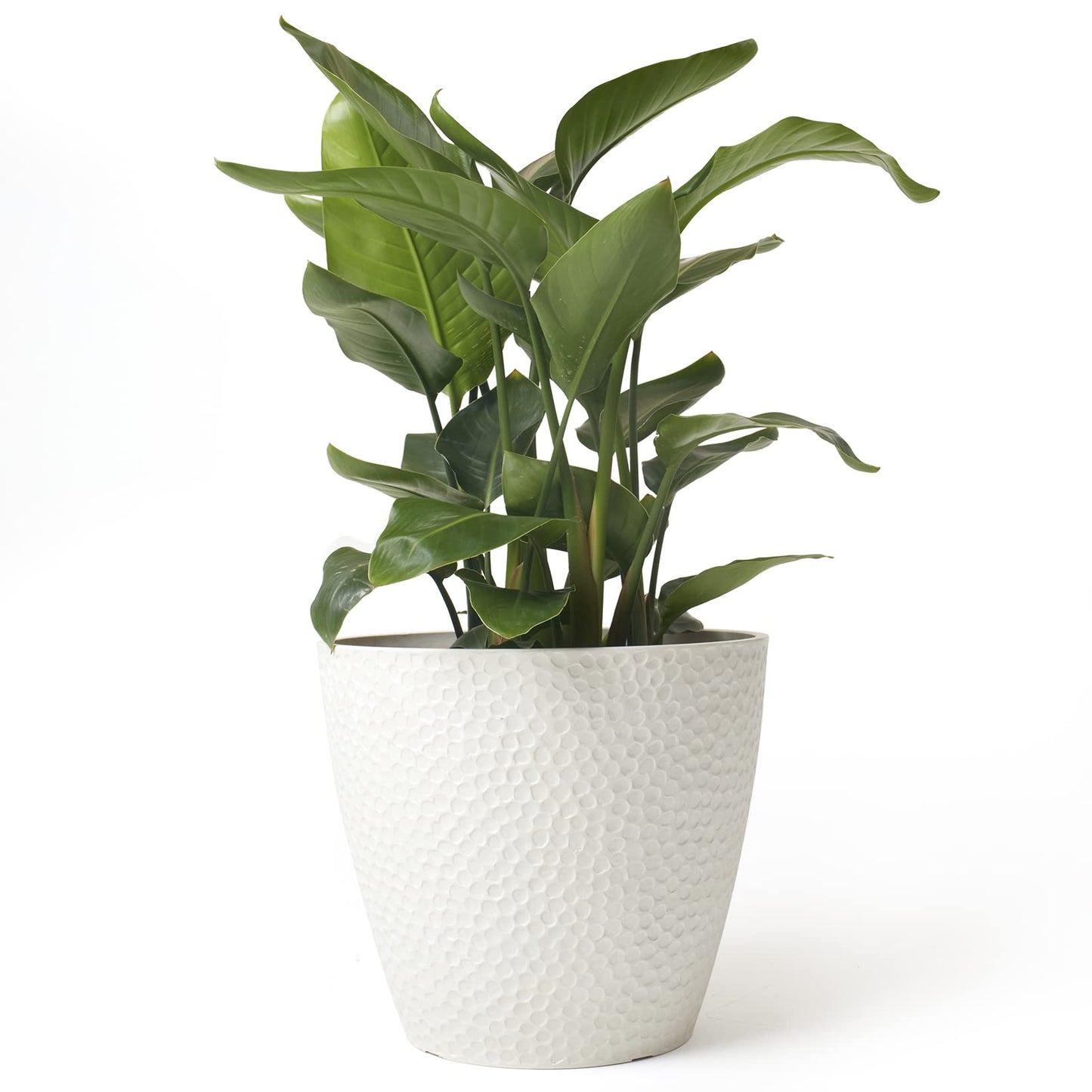 Artificial Suculent Plant With Ceramic Pot (Copy)