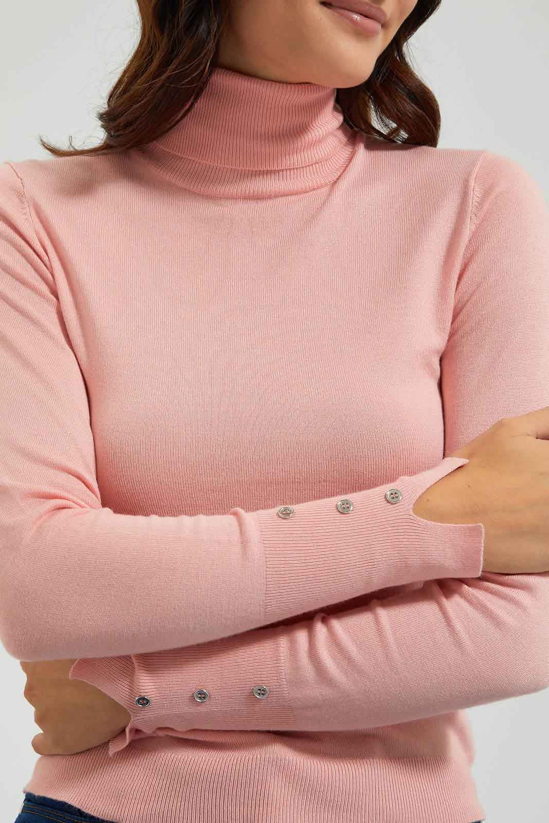 Redtag-Basic-Solid-Turtle-Neck-Pullovers-Colour:Pink,-Filter:Women's-Clothing,-New-In,-New-In-Women,-Non-Sale,-Section:Women,-TBL,-W21B,-Women-Pullovers-Women's-