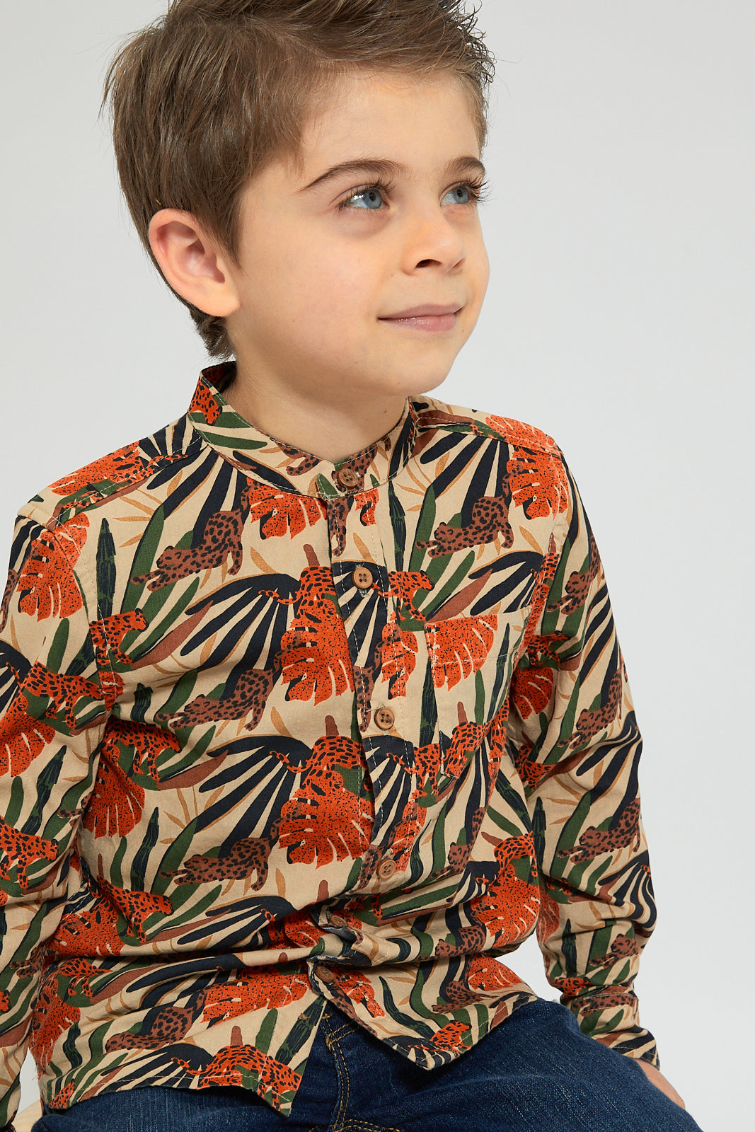 Multicolour Mandarin Collar Printed Shirt