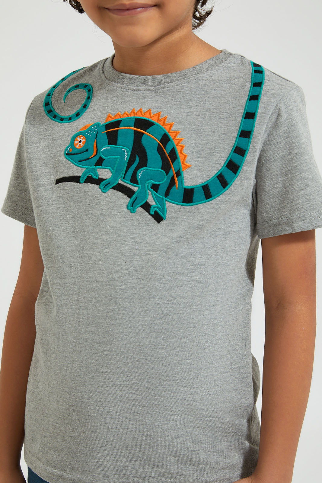 Grey Marl Lizard T-Shirt