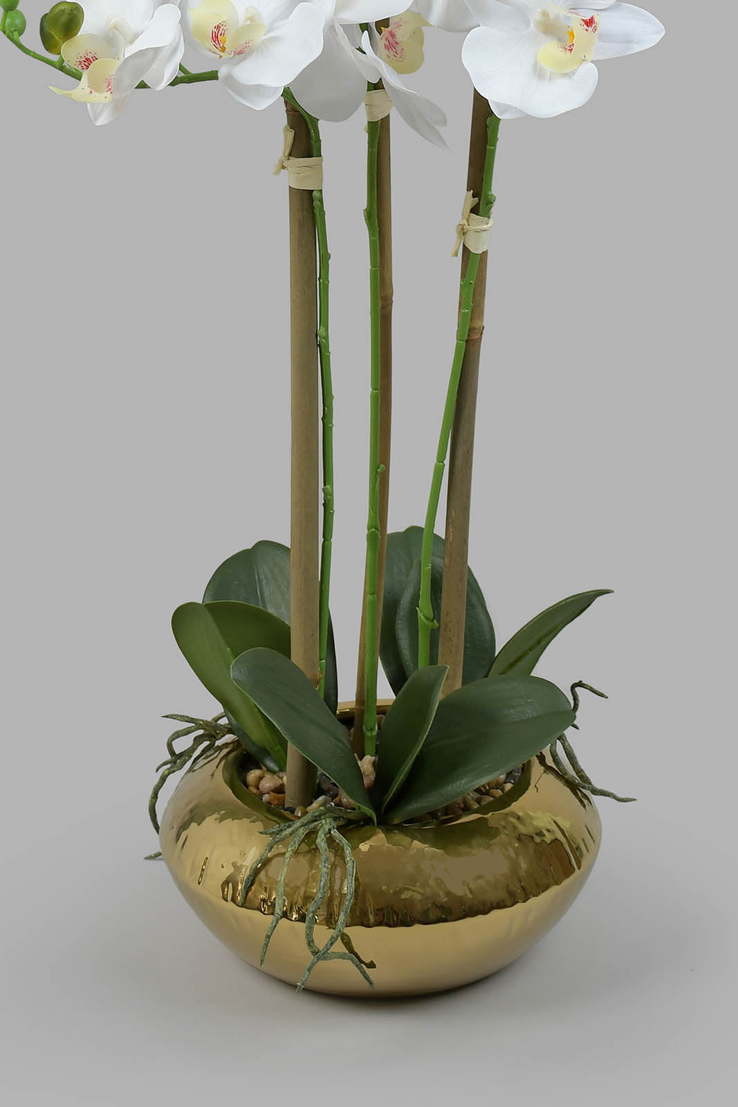 Redtag-Artificial-Orchid-in-Ceramic-Gold-Vase-Colour:Gold,-Filter:Home-Decor,-HMW-HOM-Plants-&-Flowers,-HOM-HOME-SPUN-2,-New-In,-New-In-HMW-HOM,-Non-Sale,-Section:Homewares,-W21B-Home-Decor-