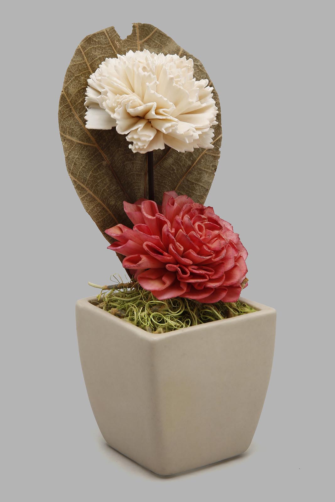 Redtag-Pink-Scented-Dry-Flower-In-Ceramic-Vase-Colour:Pink,-Filter:Home-Decor,-HMW-HOM-Pot-Pourri,-HOM-PHANTASMAGORIA-1,-New-In,-New-In-HMW-HOM,-Non-Sale,-Section:Homewares,-W21B-Home-Decor-