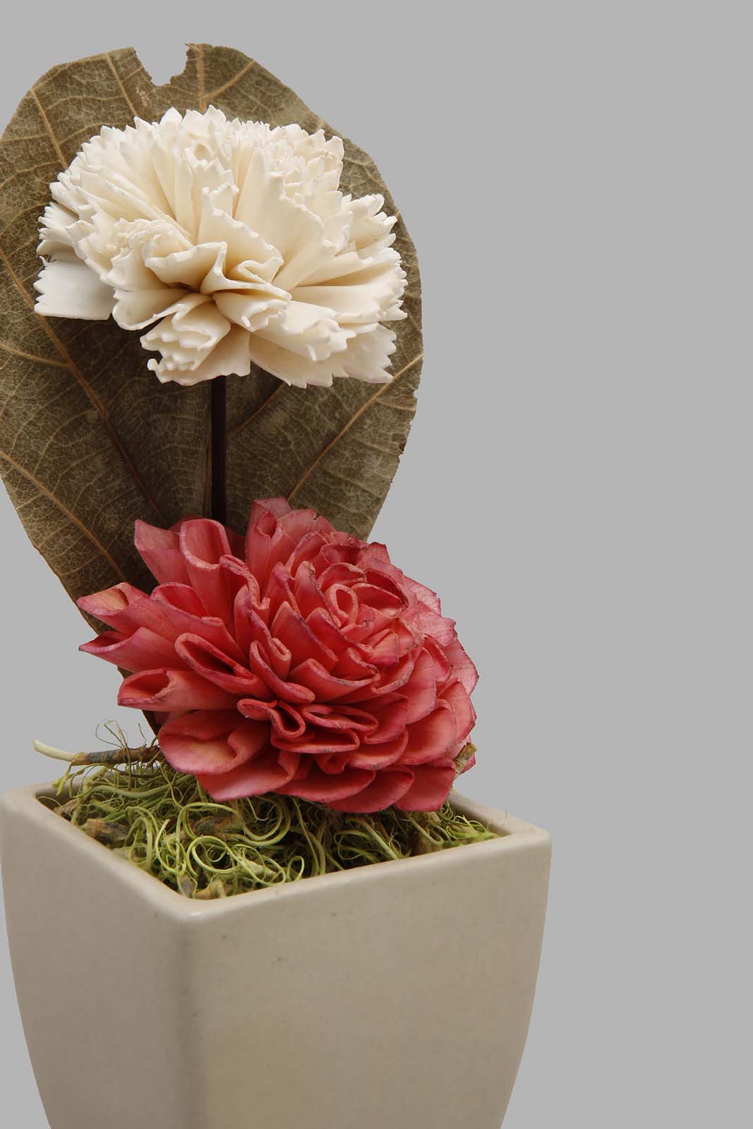 Redtag-Pink-Scented-Dry-Flower-In-Ceramic-Vase-Colour:Pink,-Filter:Home-Decor,-HMW-HOM-Pot-Pourri,-HOM-PHANTASMAGORIA-1,-New-In,-New-In-HMW-HOM,-Non-Sale,-Section:Homewares,-W21B-Home-Decor-