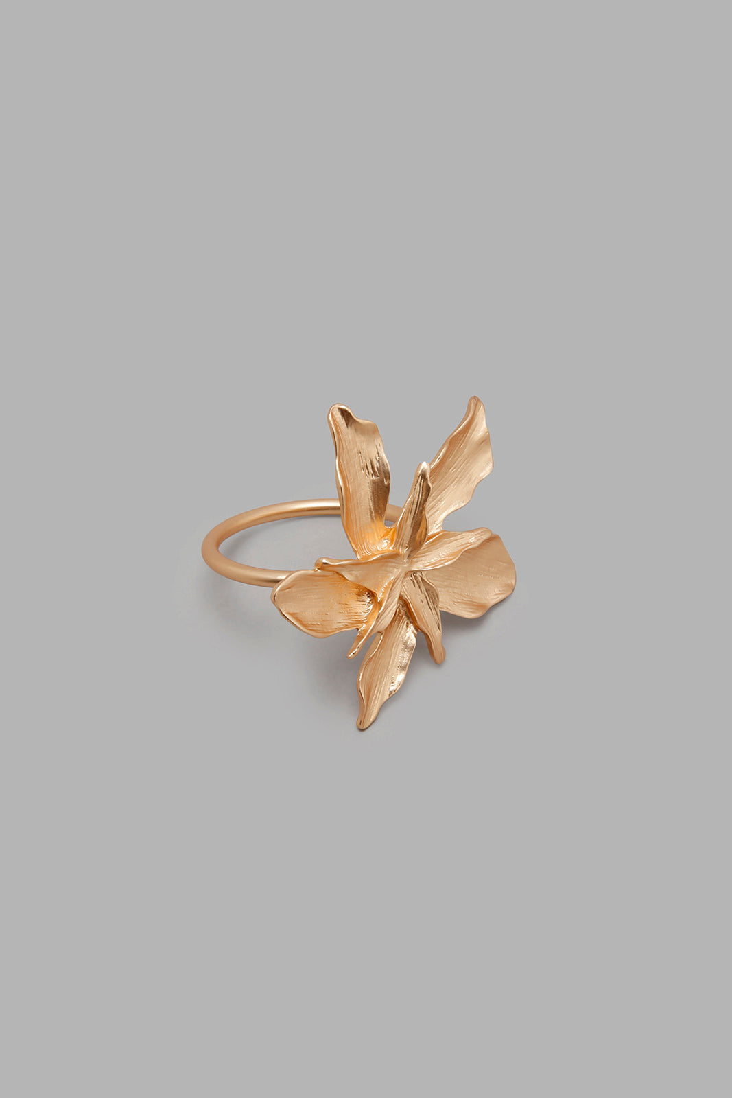 Redtag-Gold-Napkin-Ring-(4-Piece)-Napkin-Rings-Home-Dining-