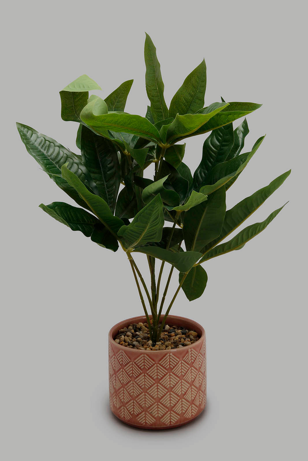 Redtag-Artificial-Plant-in-Ceramic-Pot-Artificial-Plants-Home-Decor-