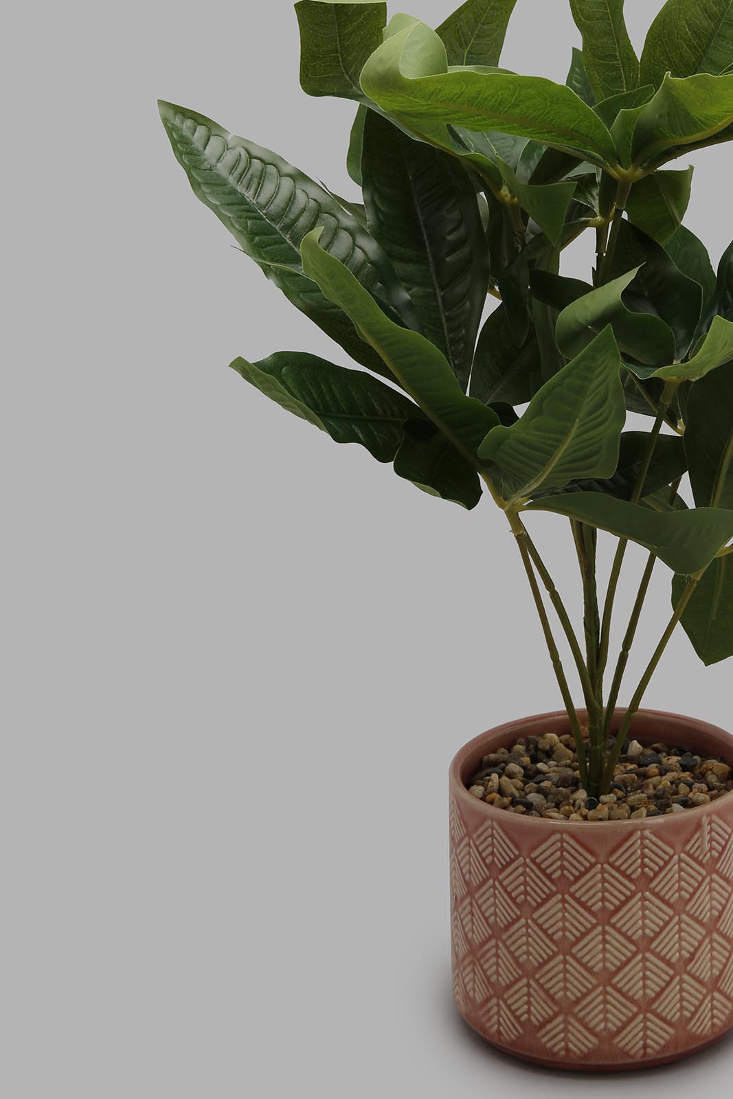 Redtag-Artificial-Plant-in-Ceramic-Pot-Artificial-Plants-Home-Decor-