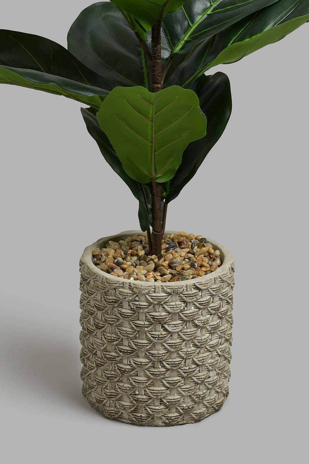 Redtag-Artificial-Plant-in-Ceramic-Pot-Artificial-Plants-Home-Decor-