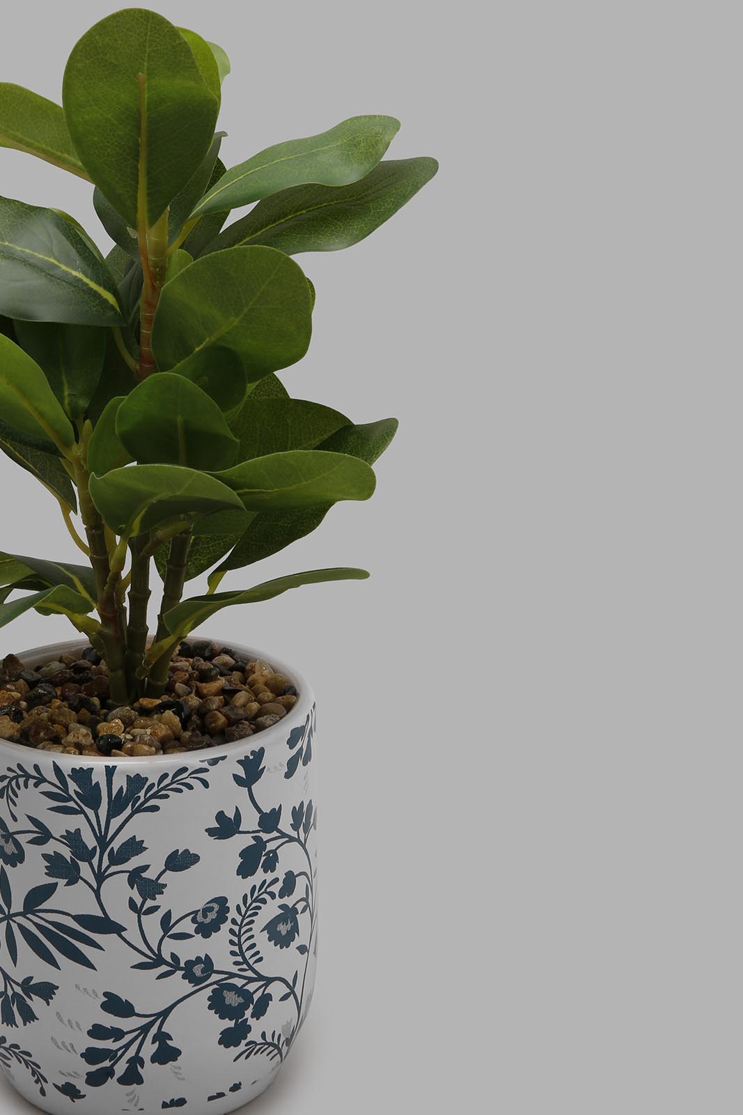 Redtag-Artificial-Plant-in-Ceramic-Pot-Artificial-Plants-Home-Decor-