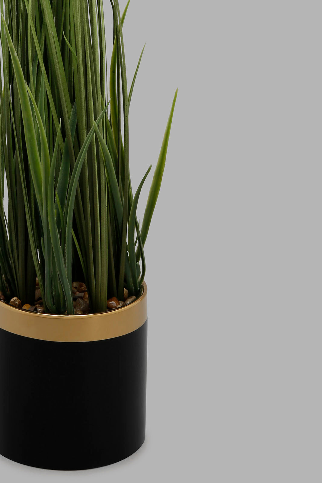 Redtag-Artificial-Plant-in-Ceramic-Pot-Artificial-Plants-Home-Decor-