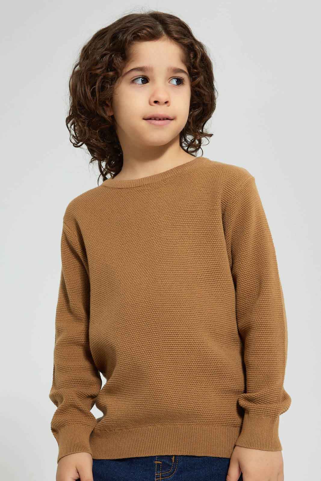 Redtag-Brown-Crew-Neck-Pullover-Pullovers-Boys-2 to 8 Years