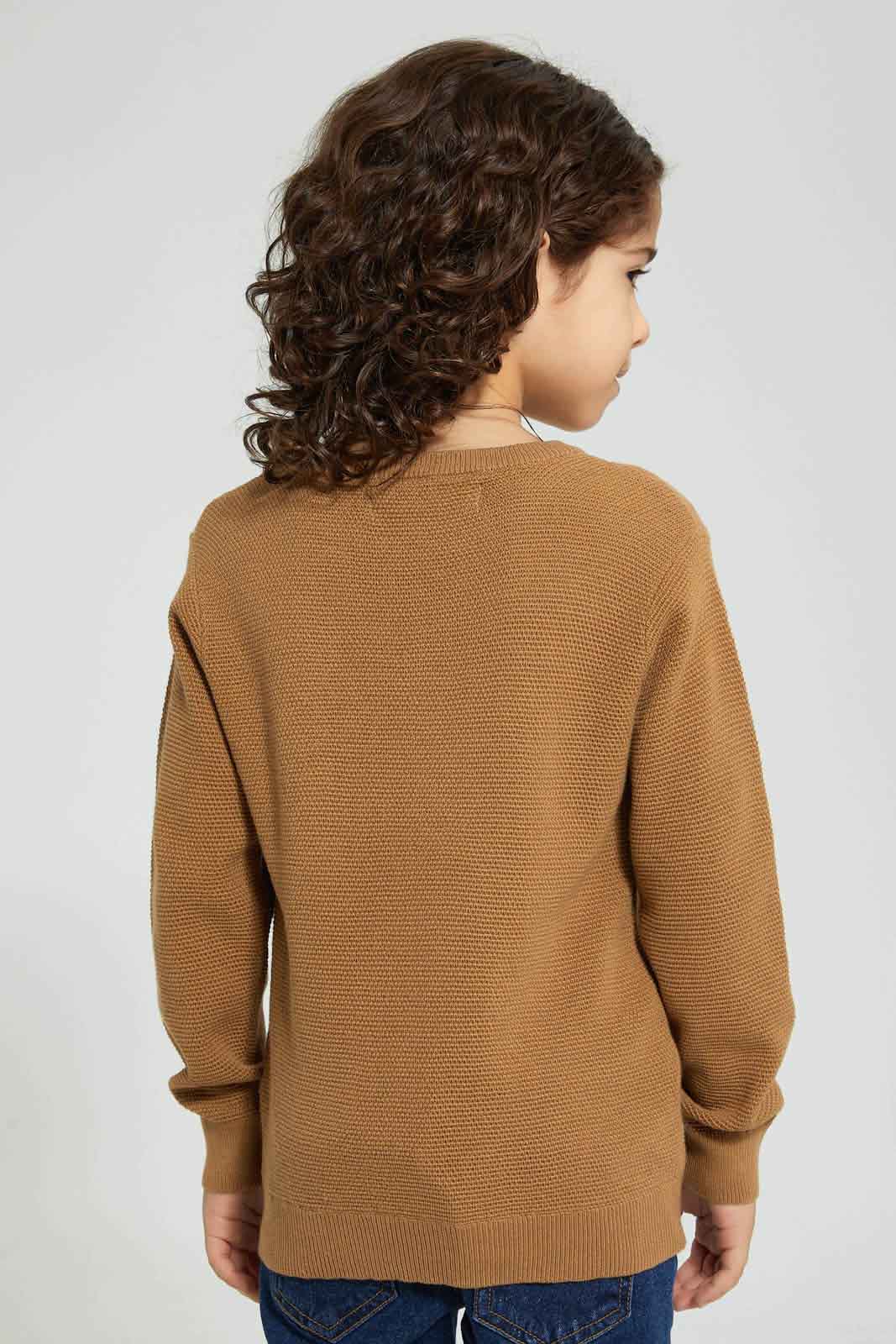 Redtag-Brown-Crew-Neck-Pullover-Pullovers-Boys-2 to 8 Years