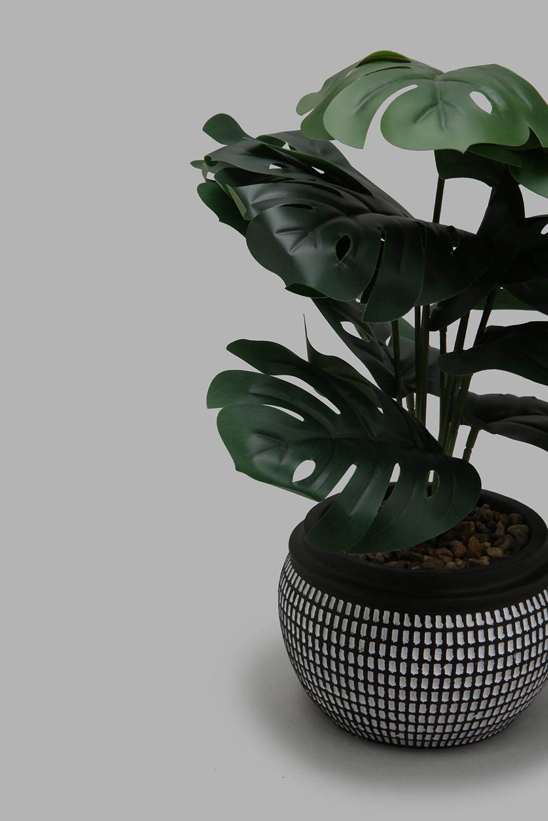 Redtag-Artificial-Plant-in-Black-Pattern-Ceramic-Pot-Artificial-Plants-Home-Decor-