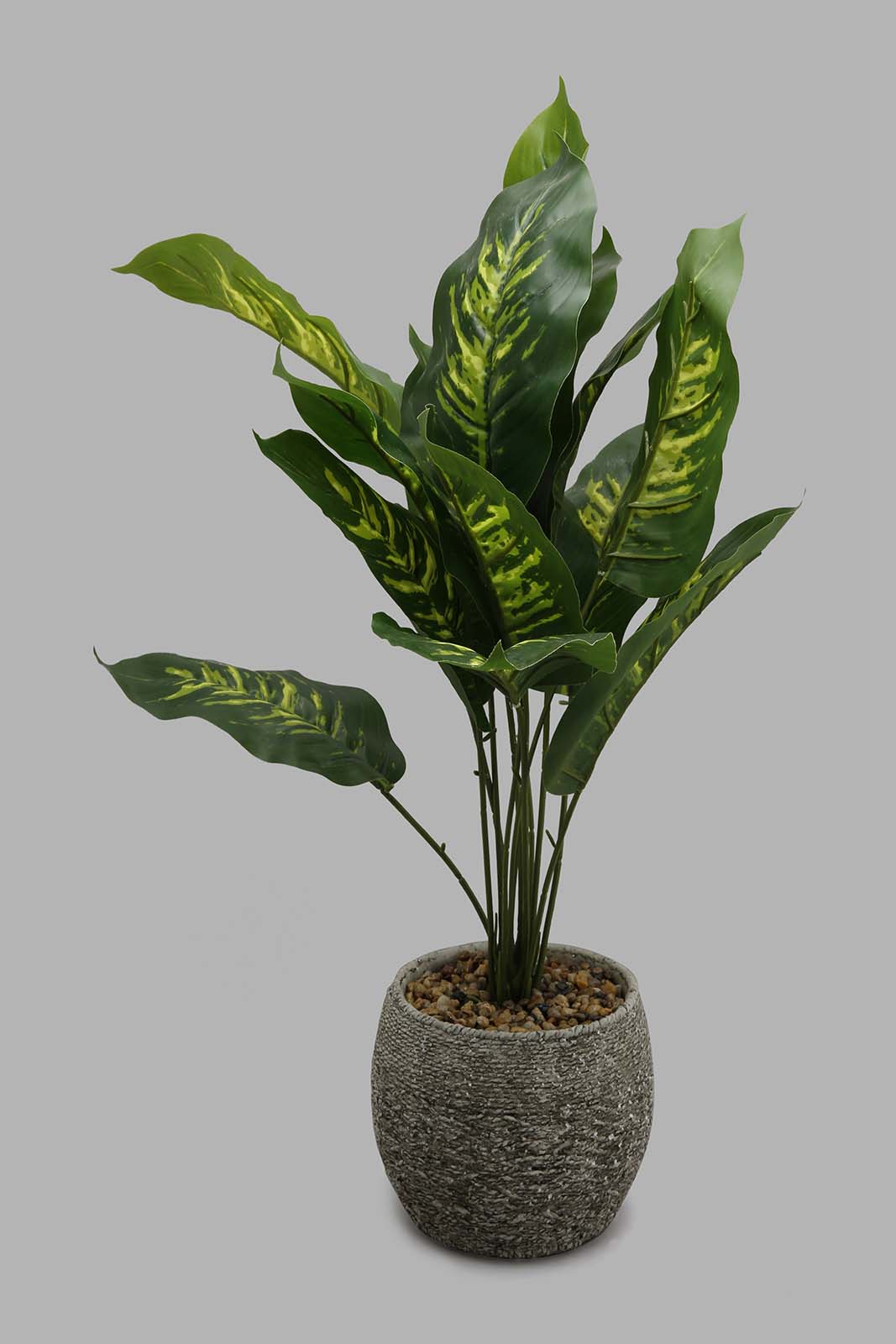 Redtag-Artificial-Plant-in-Beige-Ceramic-Pot-Artificial-Plants-Home-Decor-